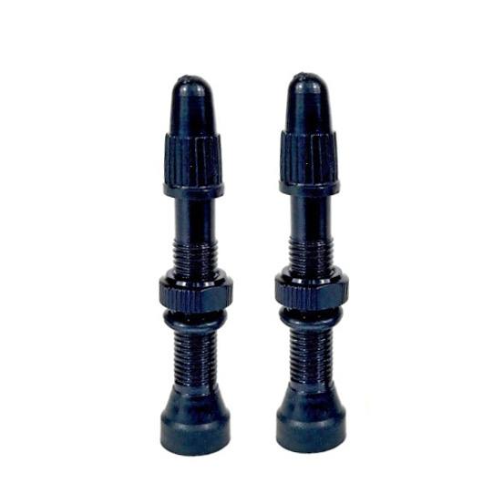 Hold Fast Classic Tubeless Presta Valves