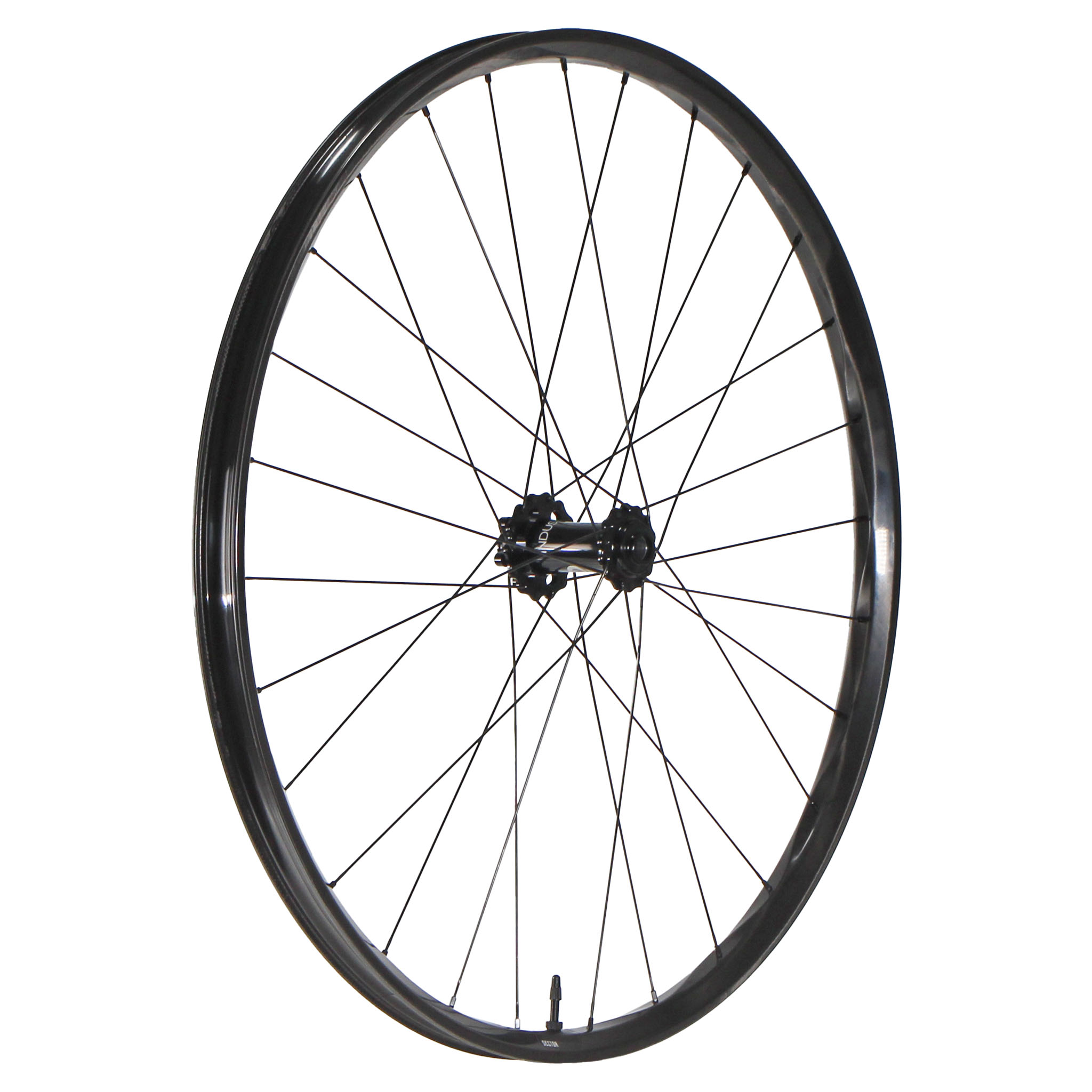 We Are One Sector 29" Front Wheel 15x110 Black