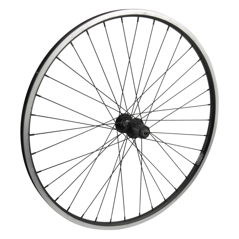 Wheel master 26` Alloy Mountain Double Wall 26in Wheel Rear