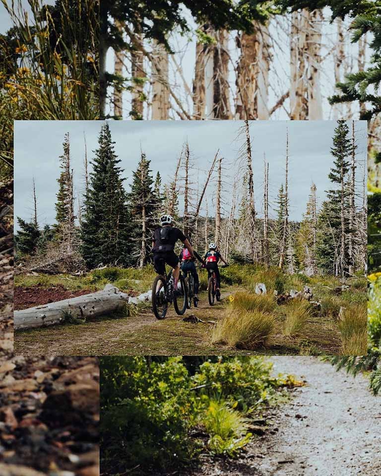 What's it like in the club?