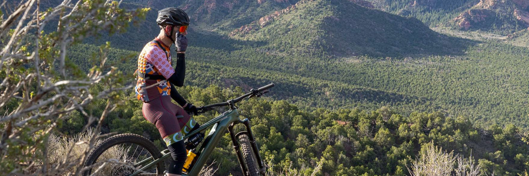 LEVO 4 Firmware Update Now Available