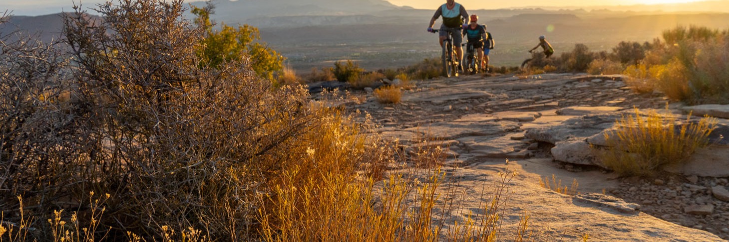 The Best Water Bottle for Hot Summer Rides