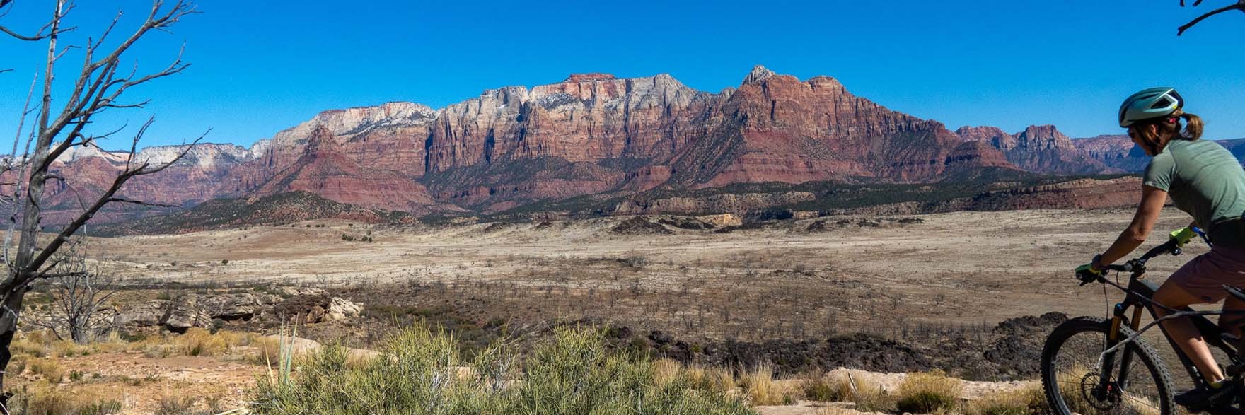 A local's favorite - Guacamole
