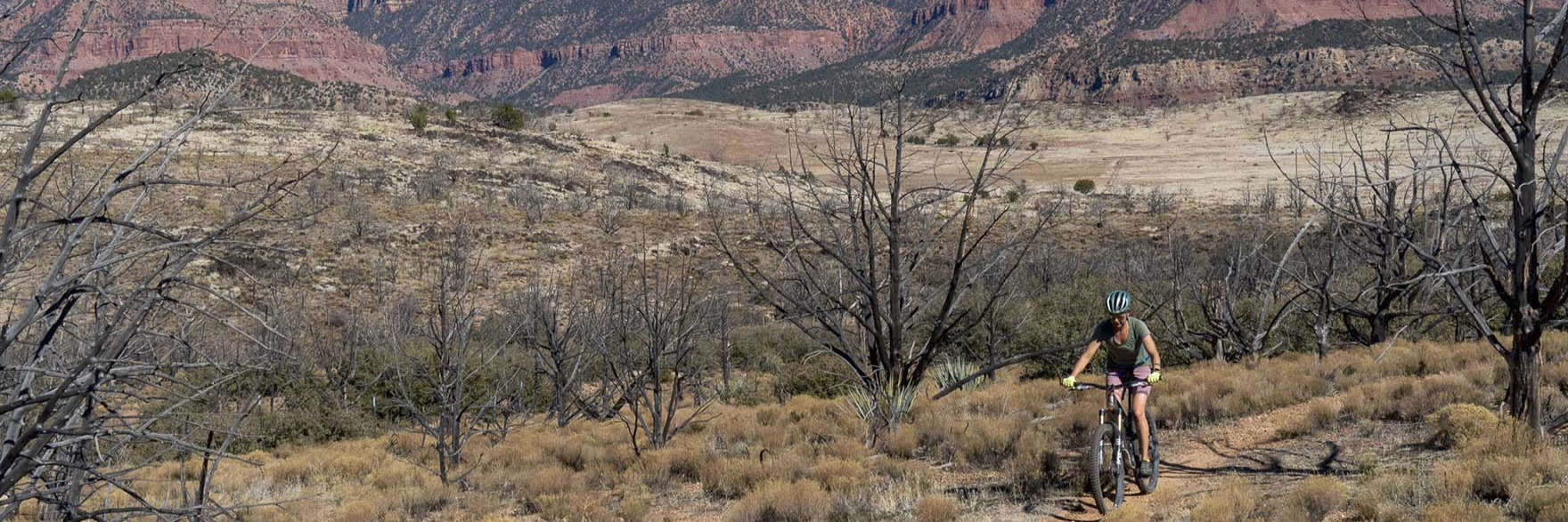 The True Cost of Mountain Biking