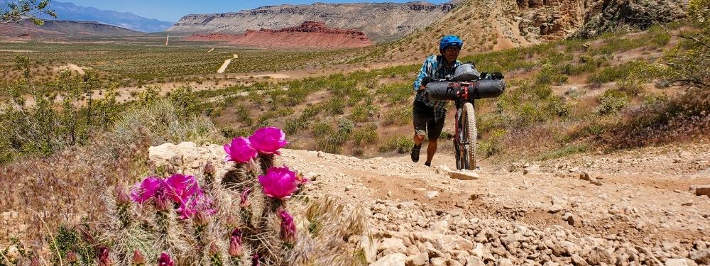 Bikepacking Necessities