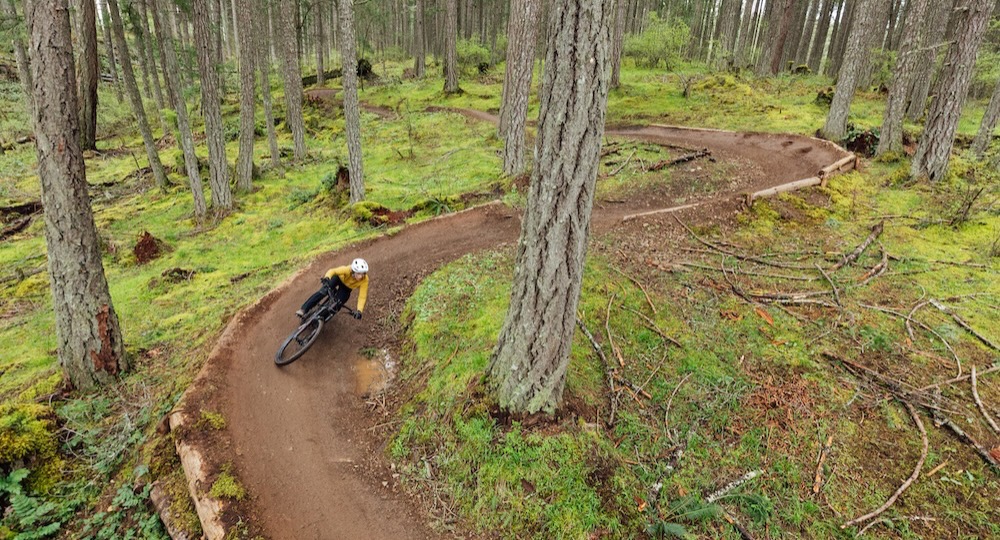 Specialized Stumpjumper Alloy