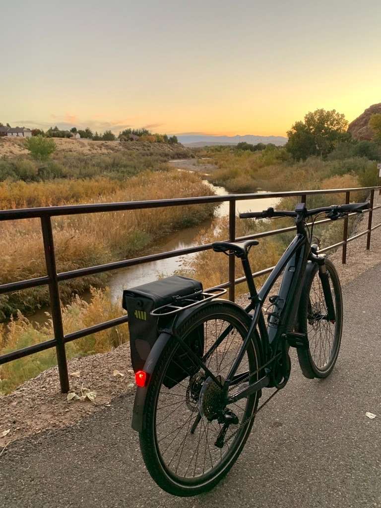 Shirley's Specialized Vado