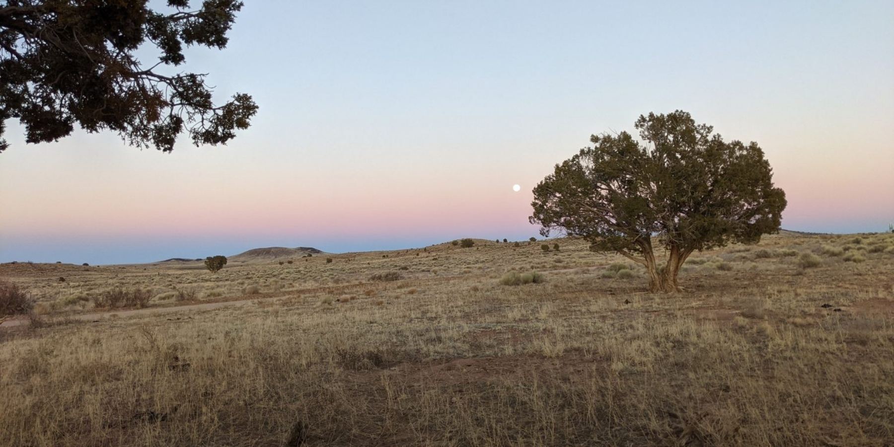 First Pick the Partner, Then Pick the Adventure