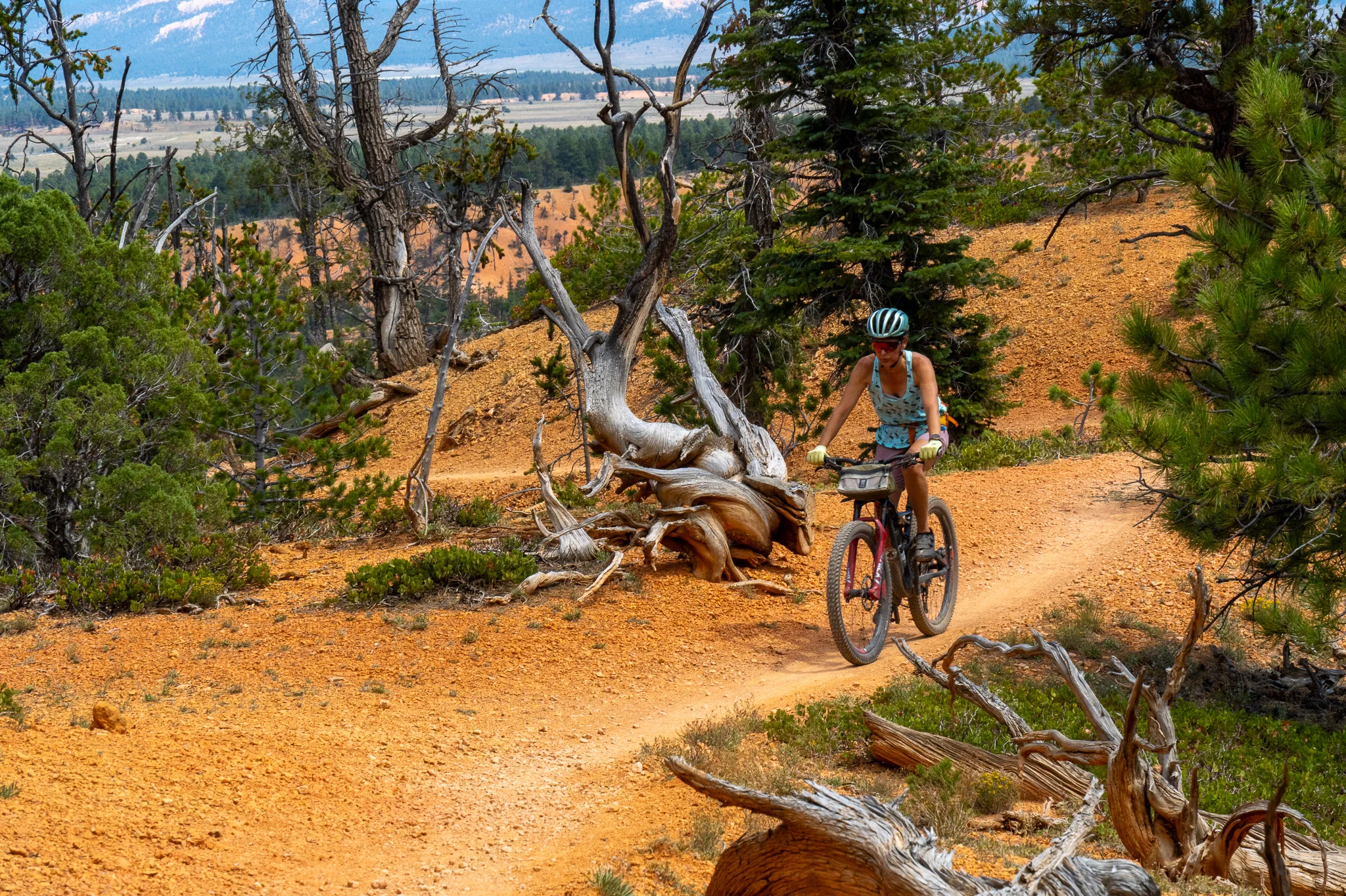 April Bike Selfie Competition