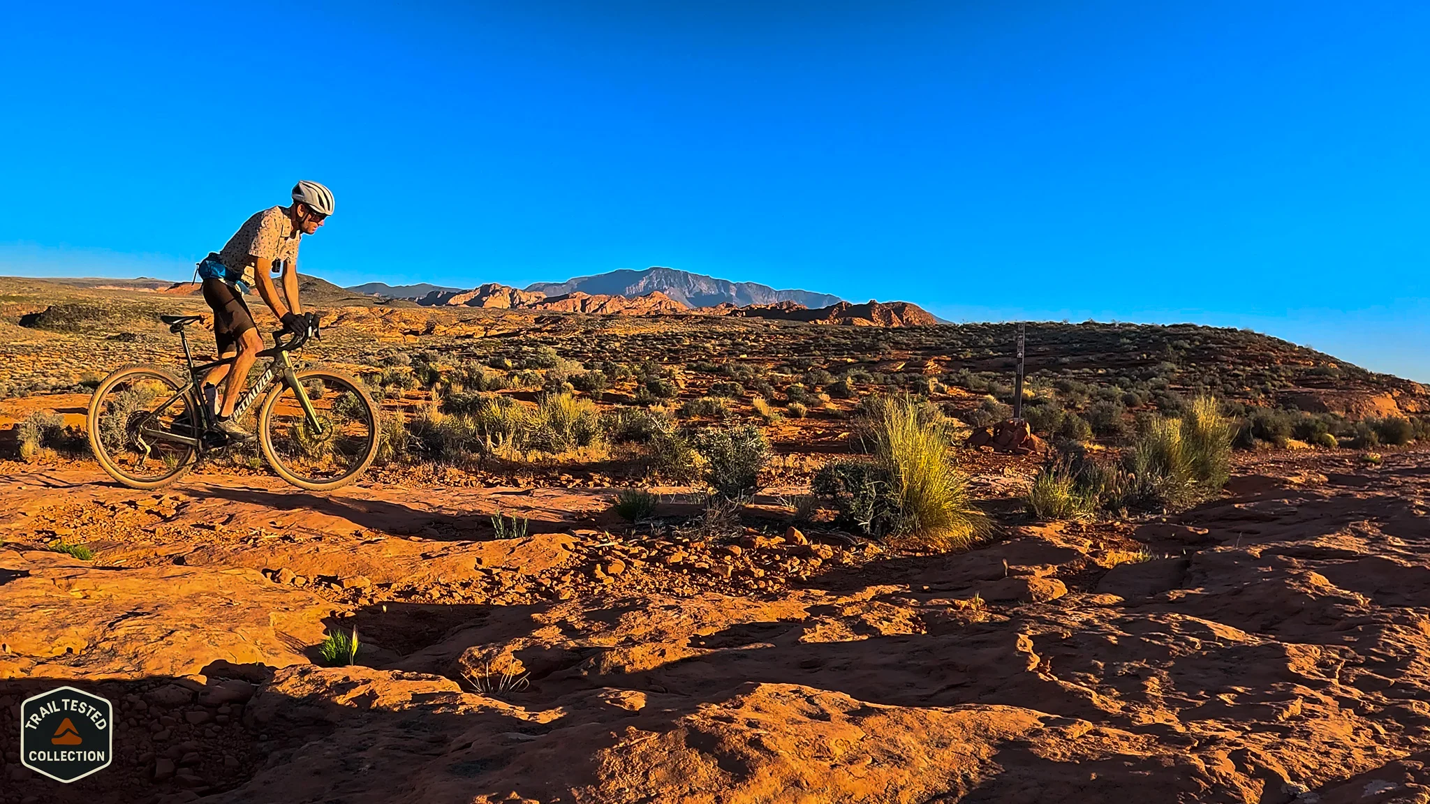 The Diverge takes on Singletrack