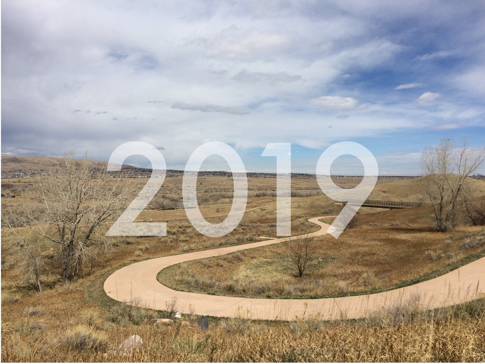 Comparing Surly's Flat Bar Touring Bicycles - Bridge Club, Troll, Ogre, ECR, Pugsley