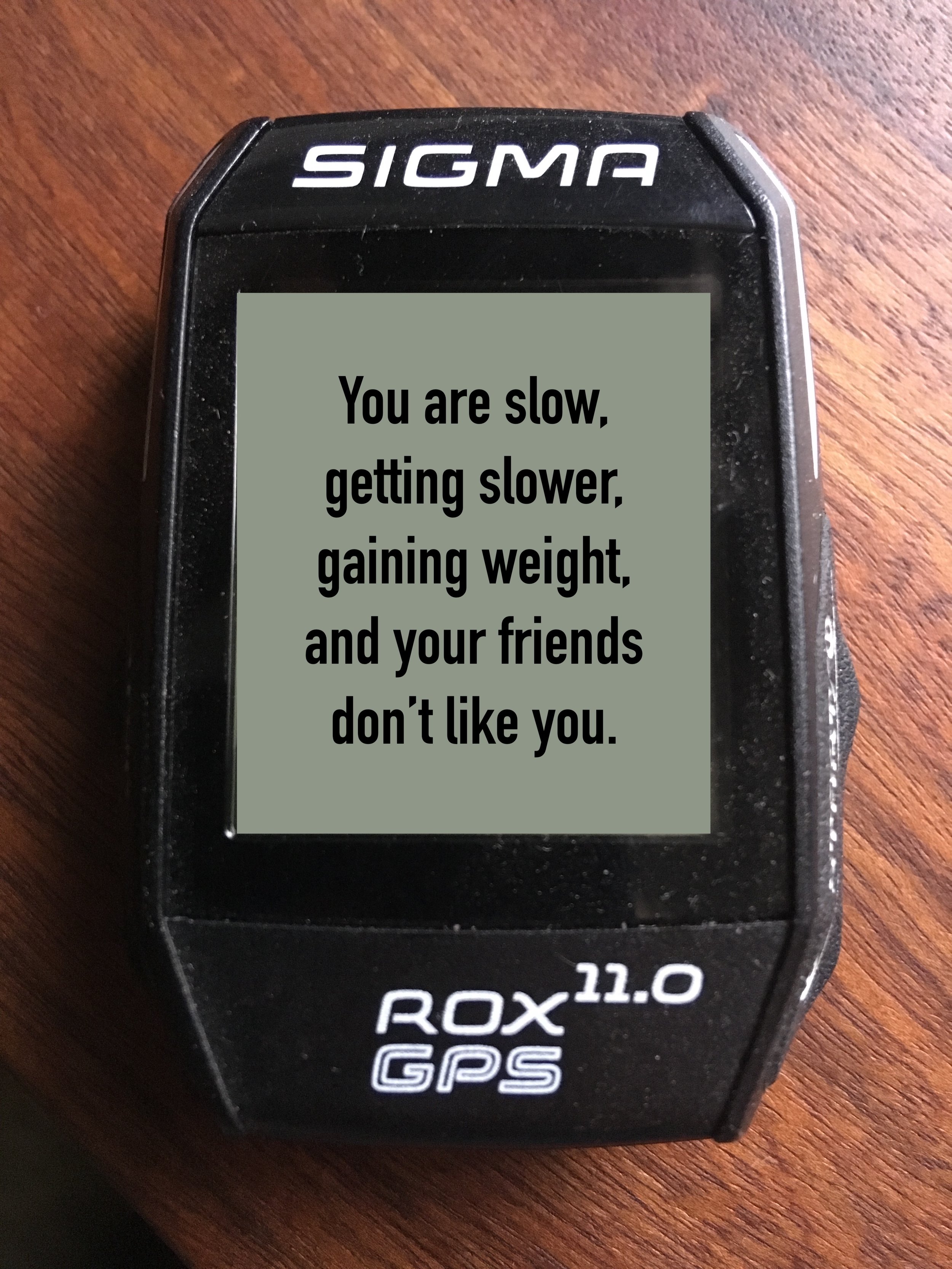 Riding with a Cycling Computer for One Year