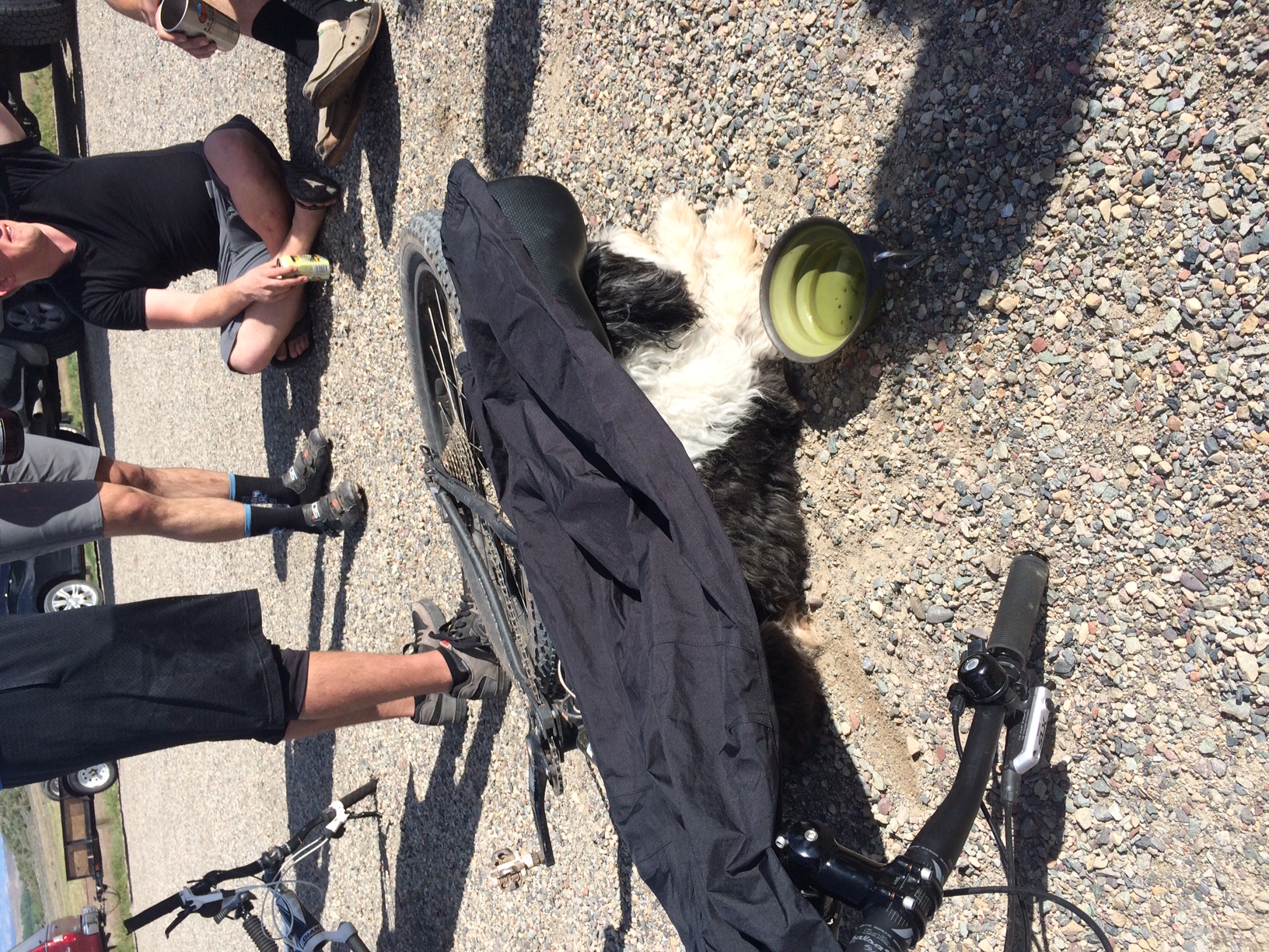 Bike + rain pants + water bowl&nbsp;= doggie kennel.
