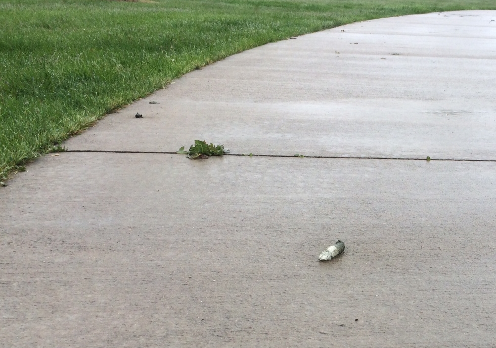 Multi-colored goose bomb of slippery death that will also make you wish you had fenders.