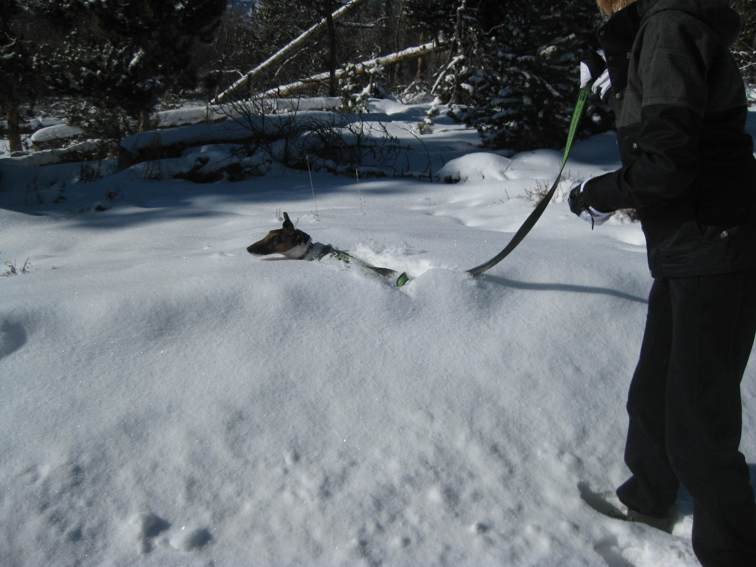 Appropriate winter enthusiasm.