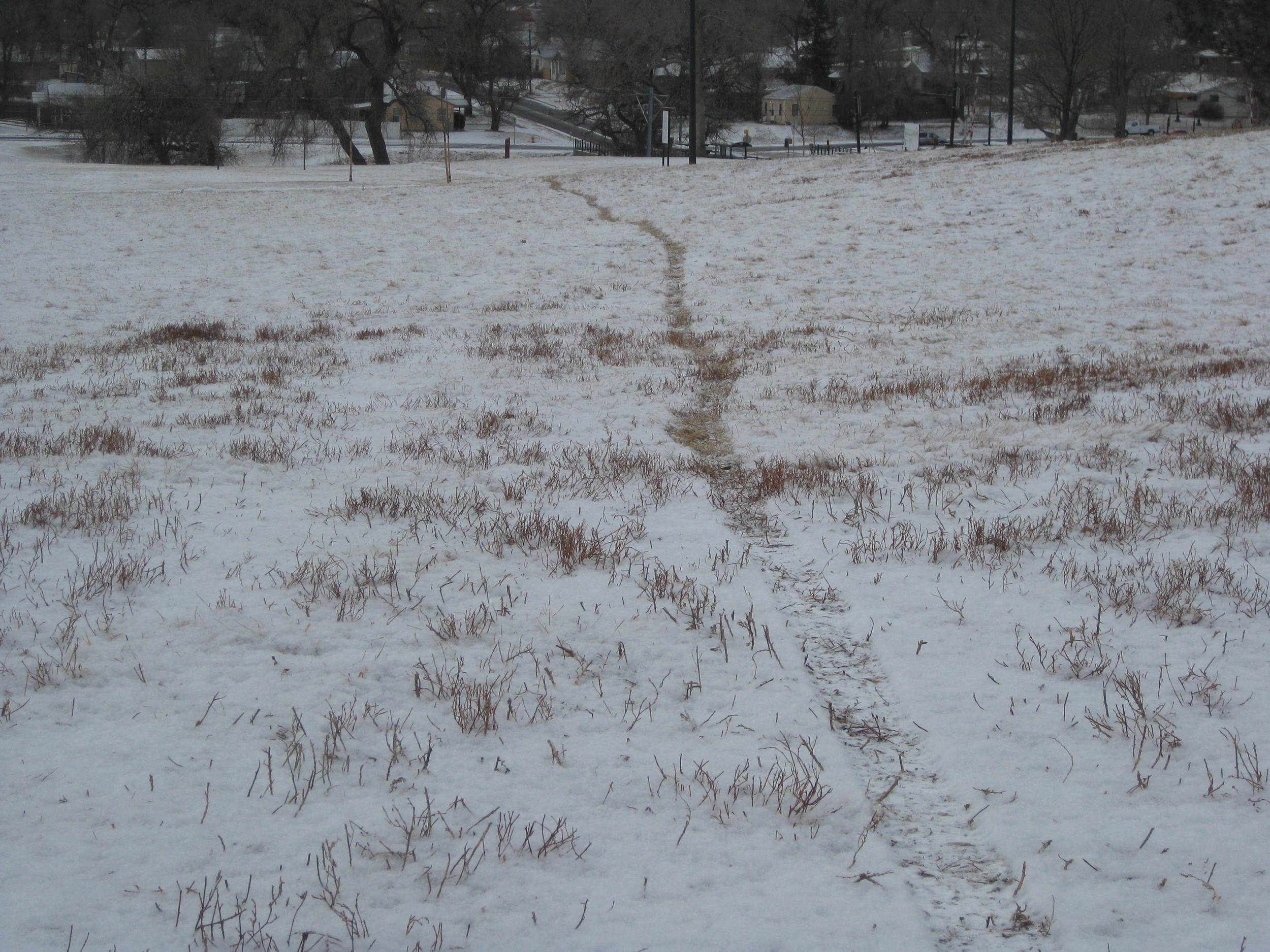 Winter Riding: Not Just for Those Unencumbered by Common Sense