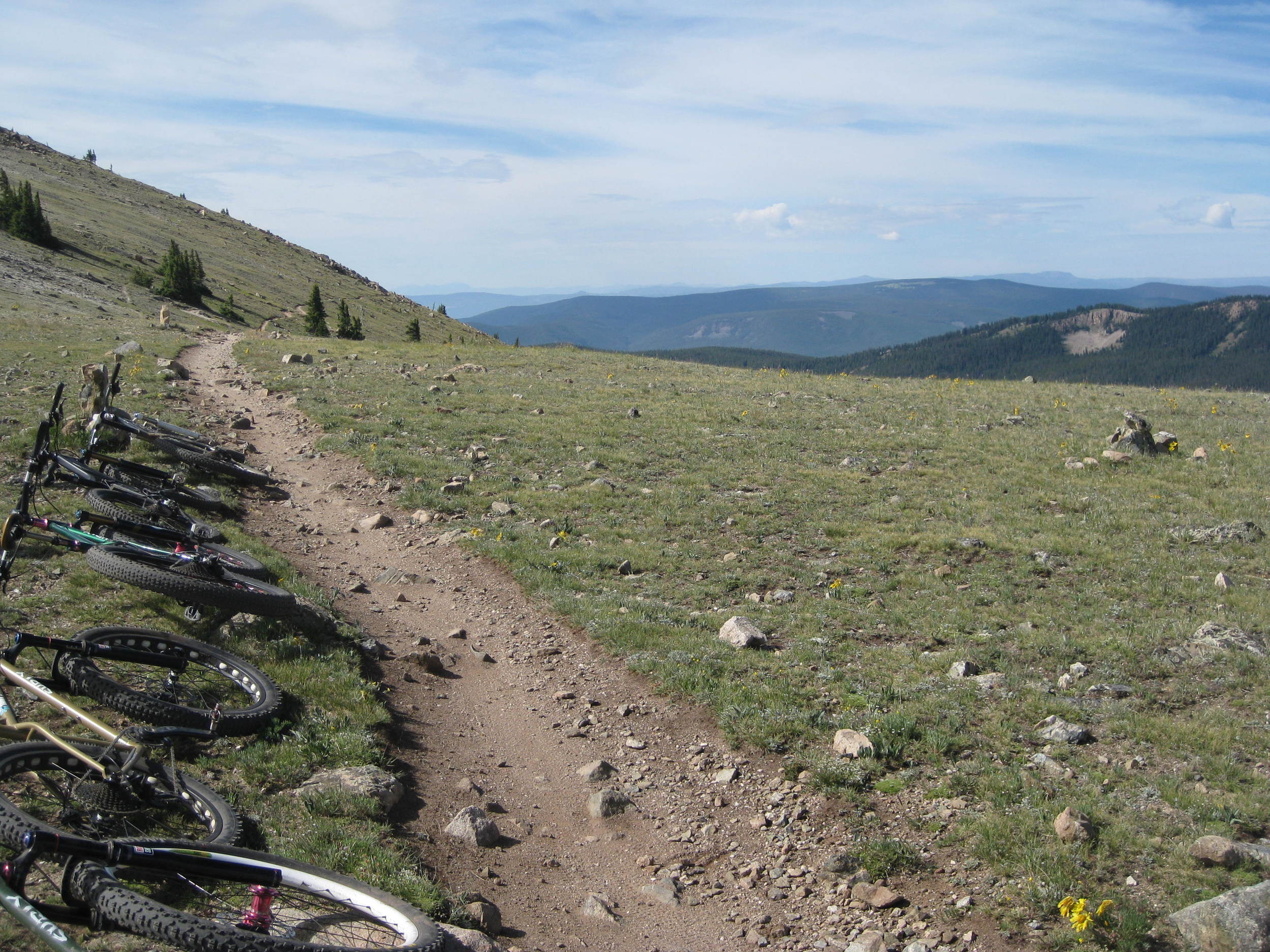 You can't even hear the light rail station from here. It's so stupid.