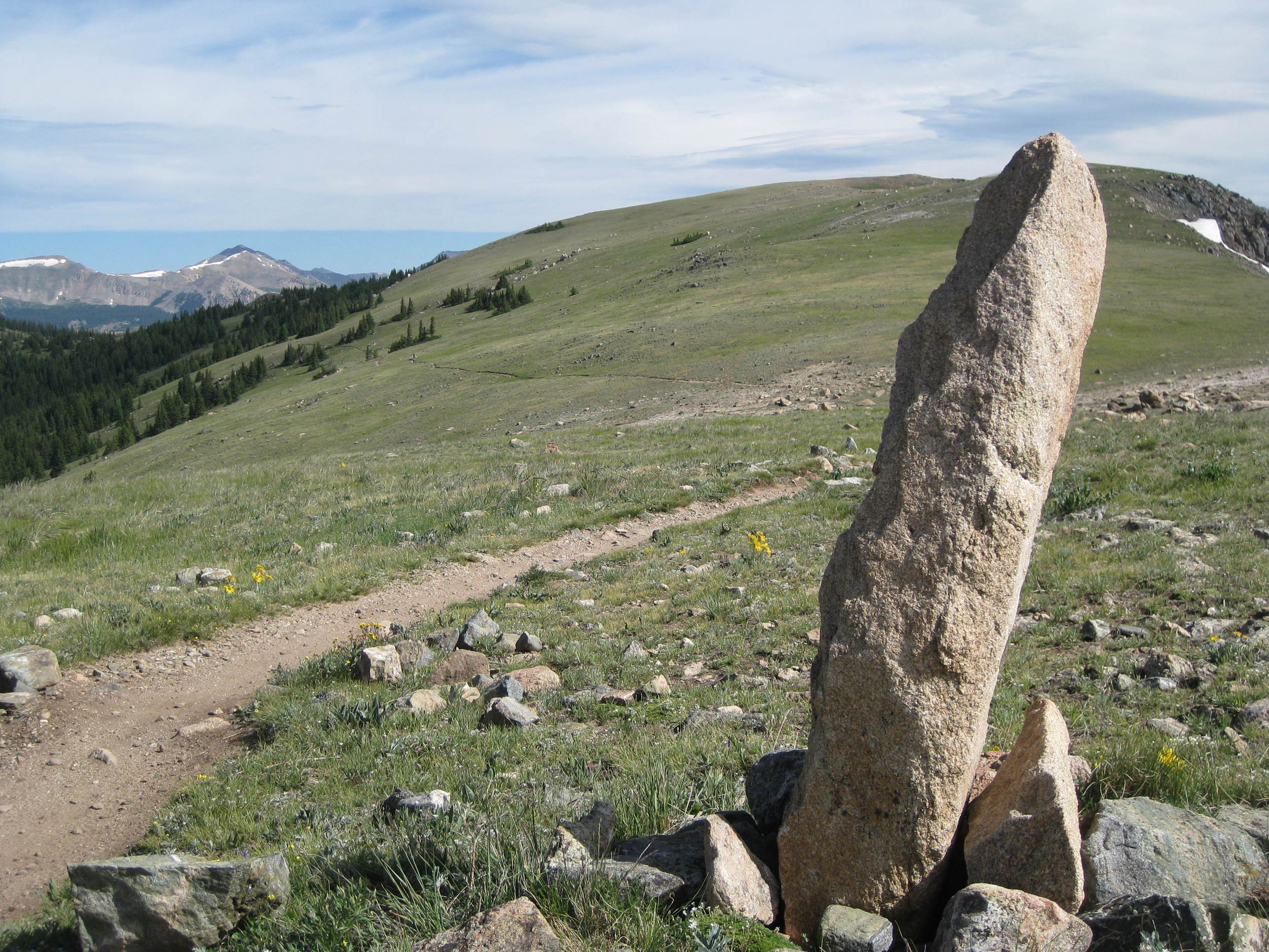 Honestly, this crap is 100% un-shredable.