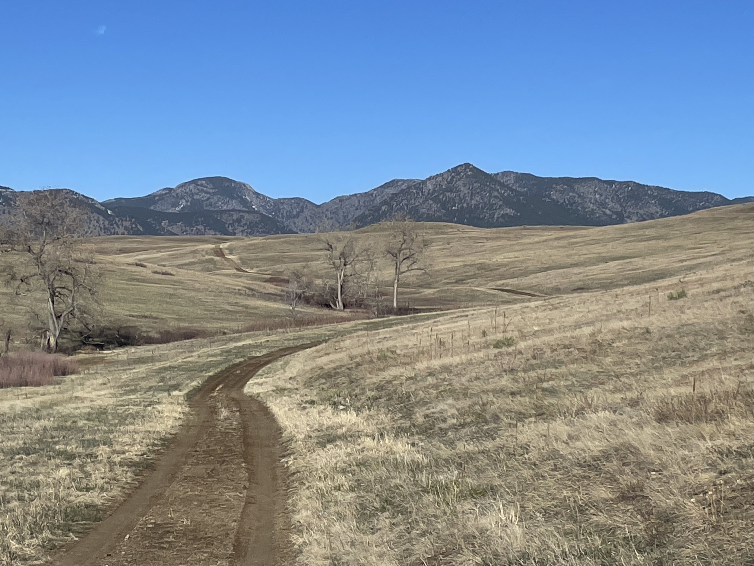 Brevet New World 2025