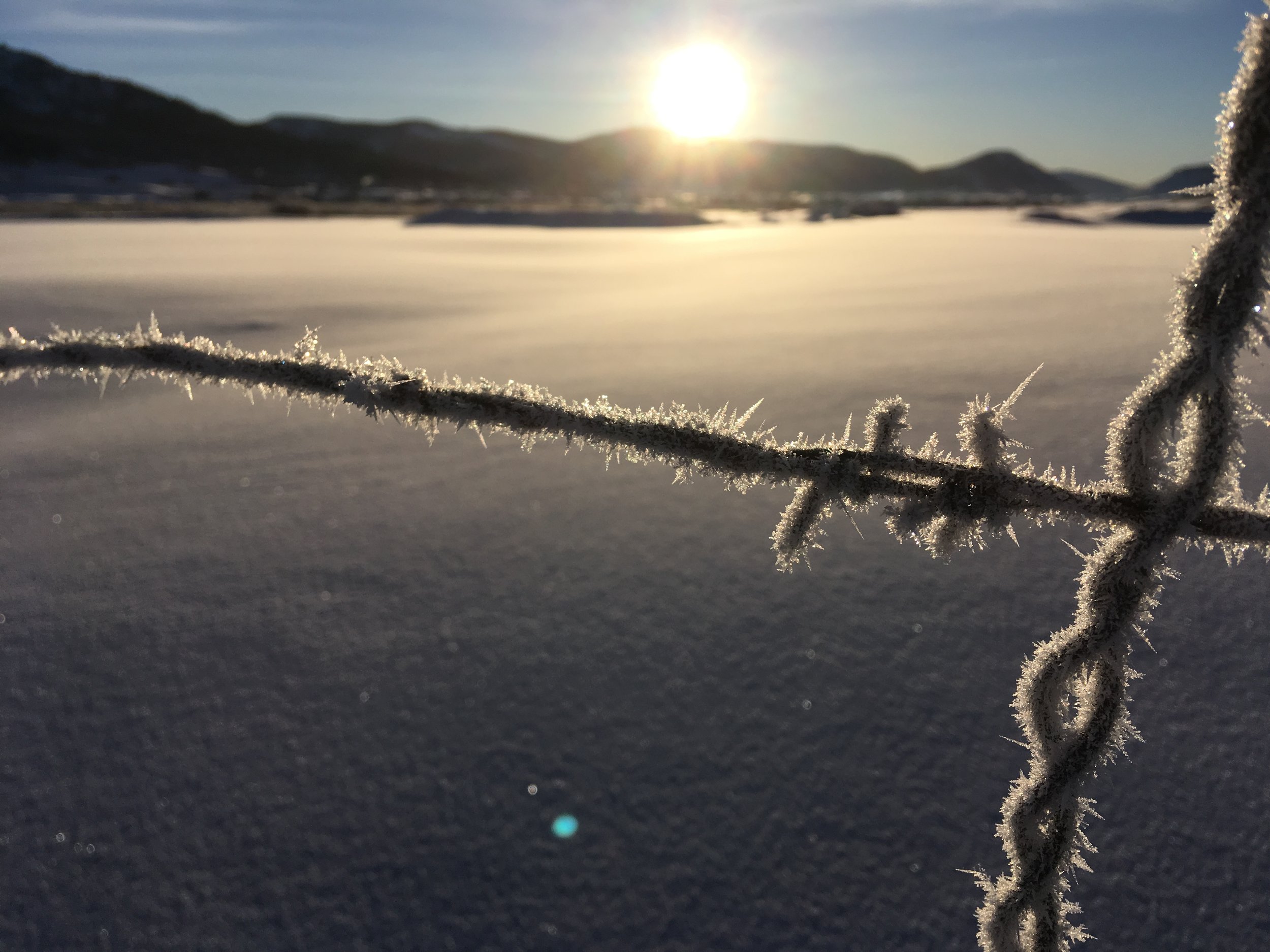 The Ice Cream of the Crop; Fatbike World Championships