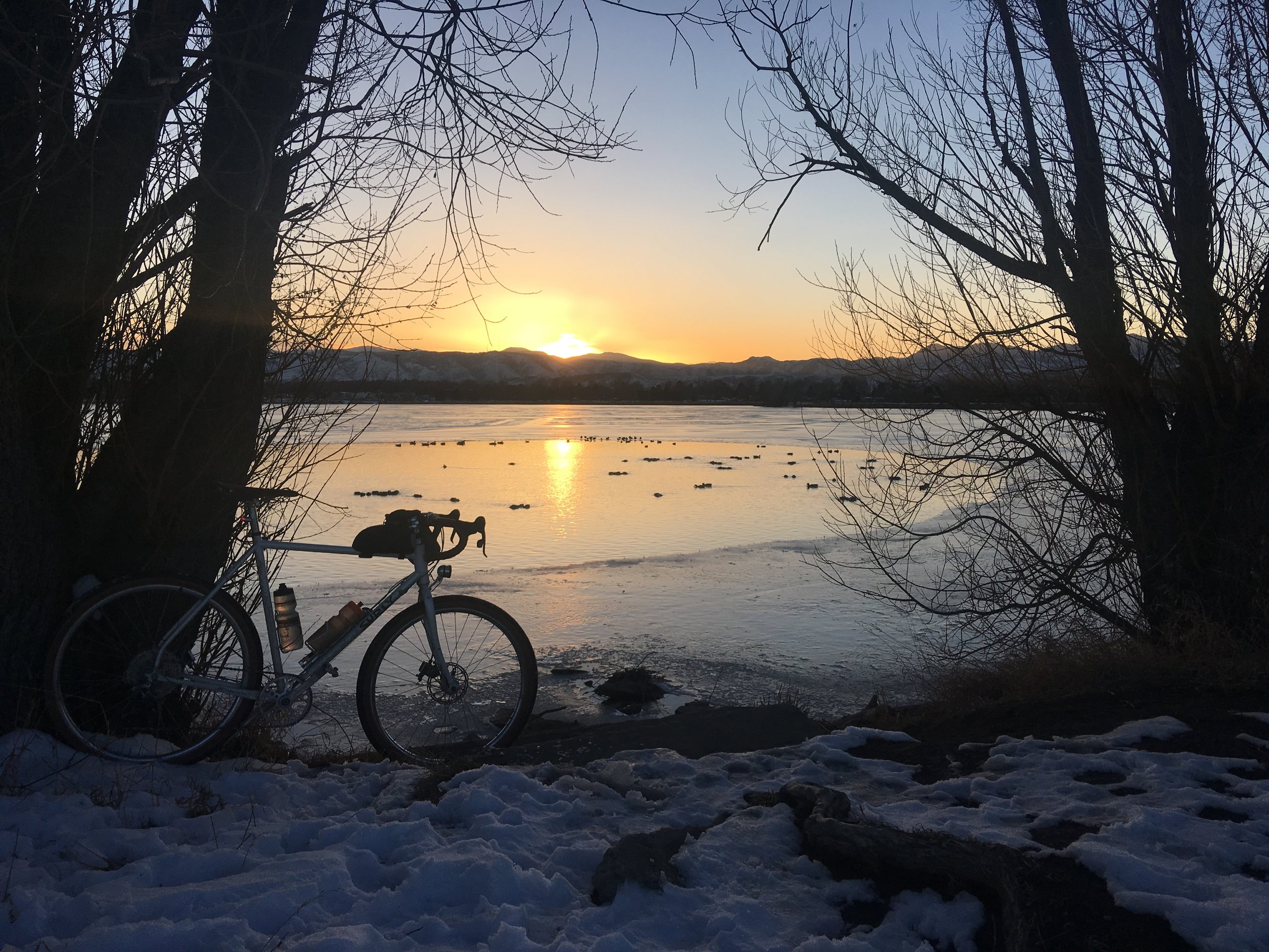 Comparing Surly's Drop Bar Bicycles (Including the Midnight Special)