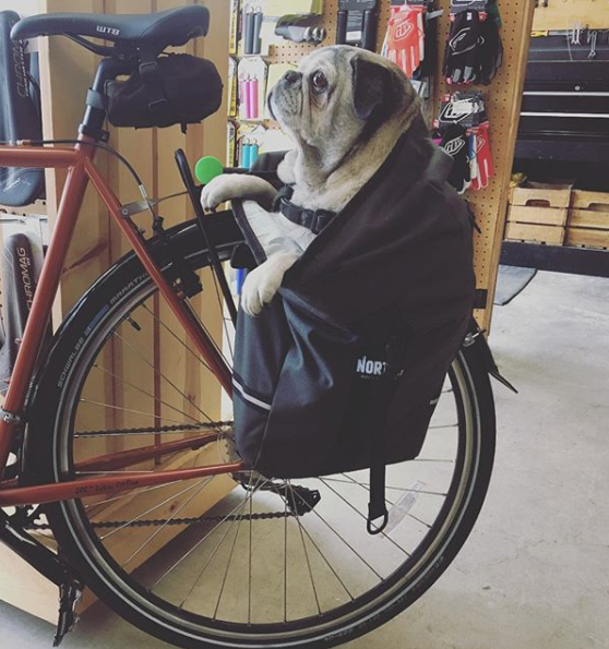 Screen Shot 2018-11-30 at 1.39.35 PM.png