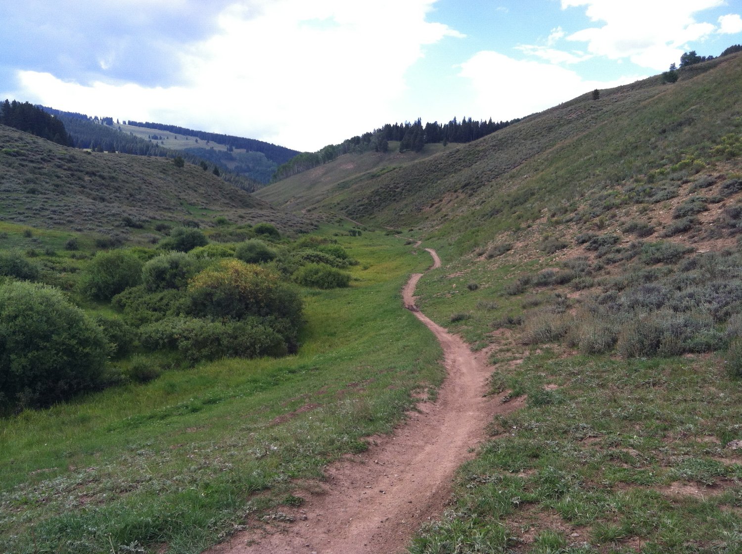 Your Mom was Right to Make You Play Outside