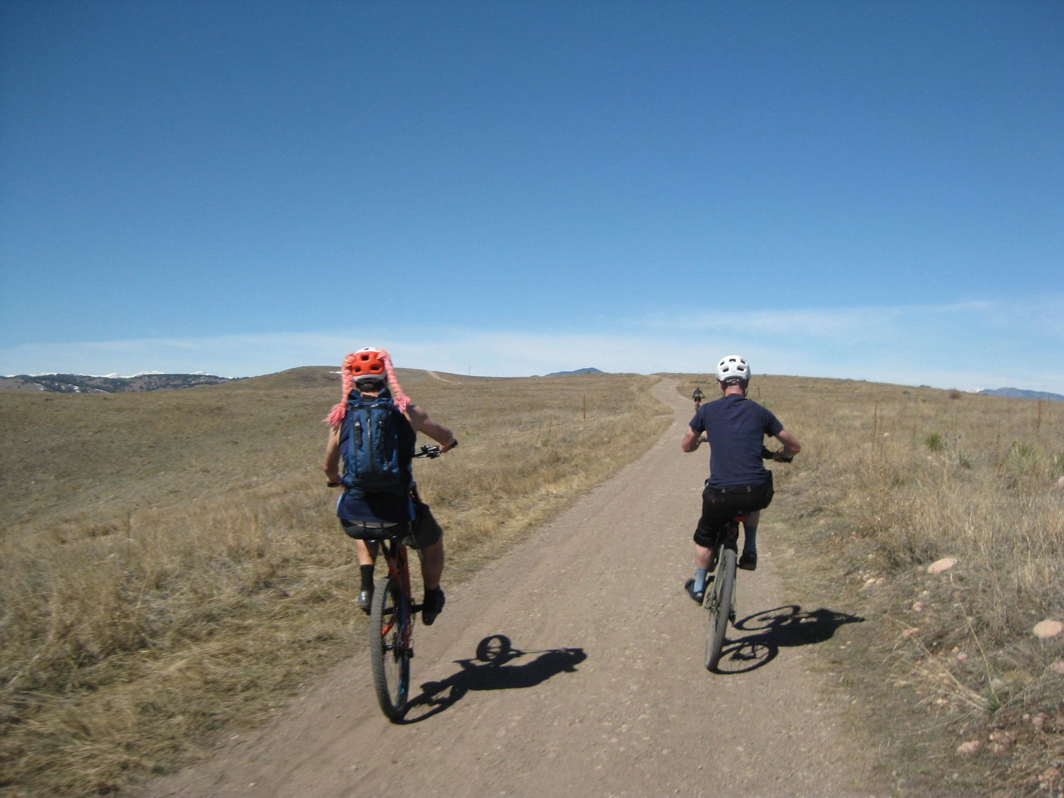 Blog Postponed on Account of Dirt