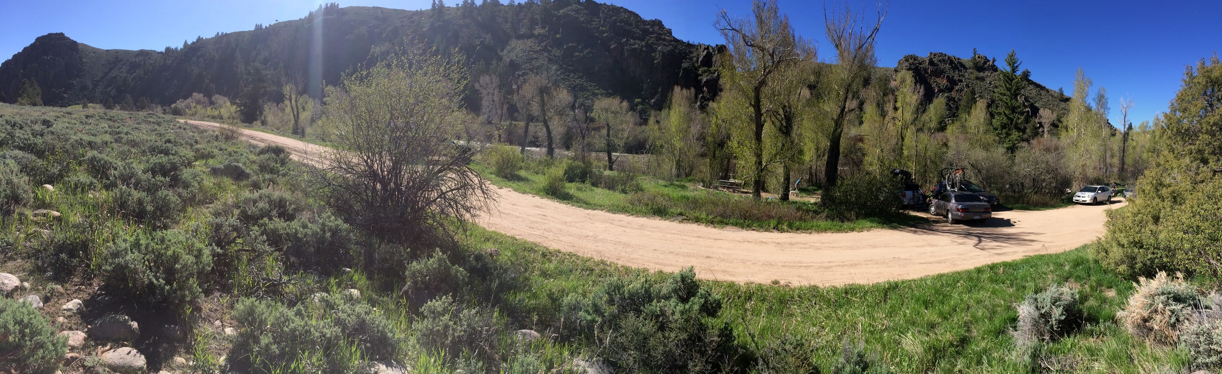 Photo: Steve Kirshner