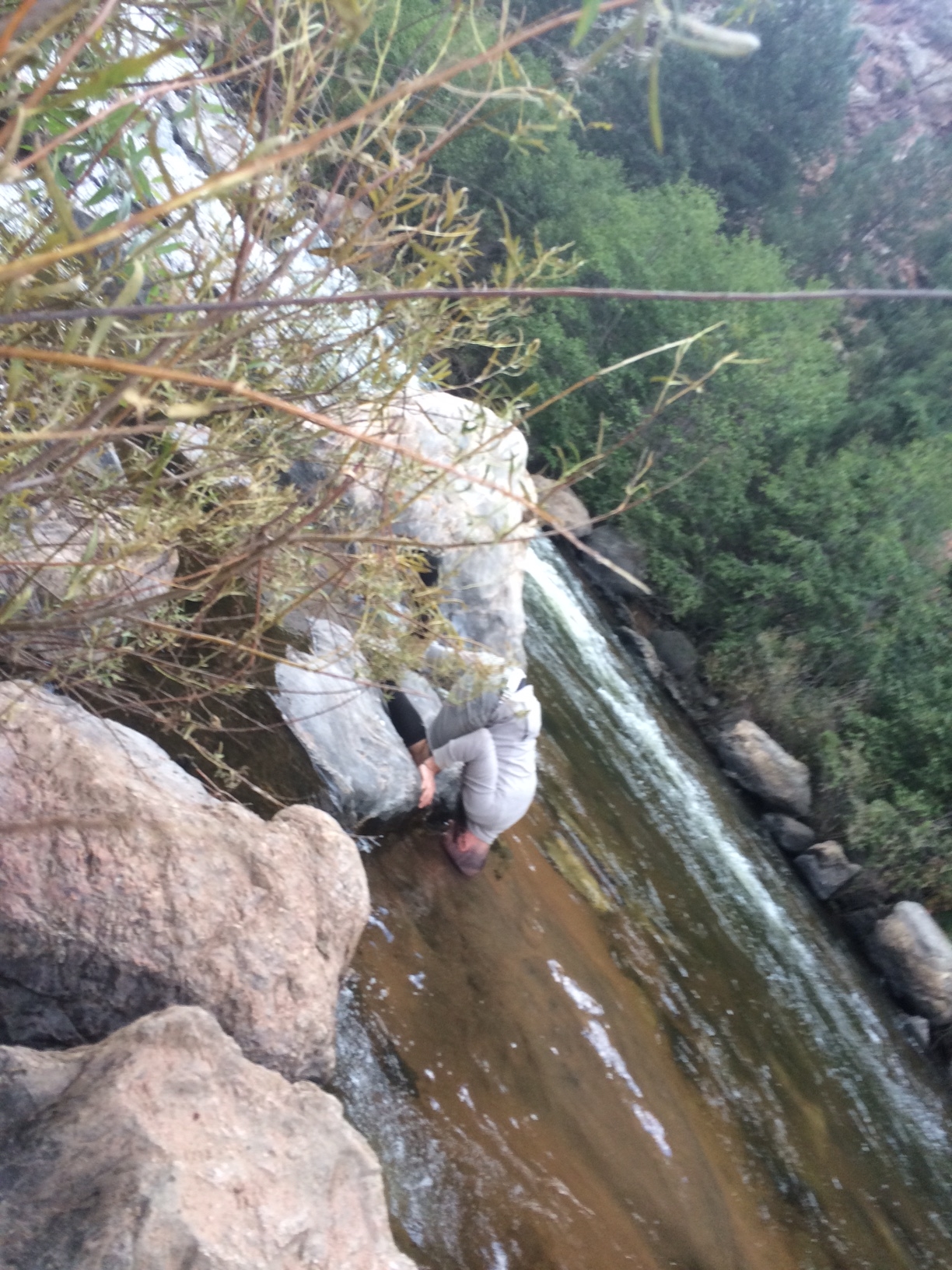 I tried to tip Trevor into the river by tilting the camera, but his grip was steadfast.