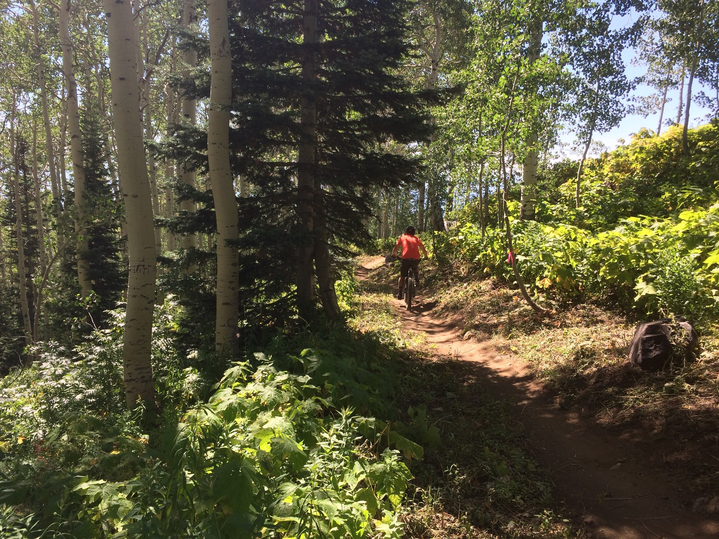 Not Rustler's Ridge.