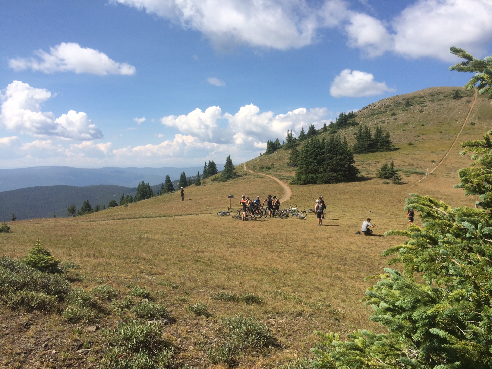 Salida: More than Pretty Much Okay