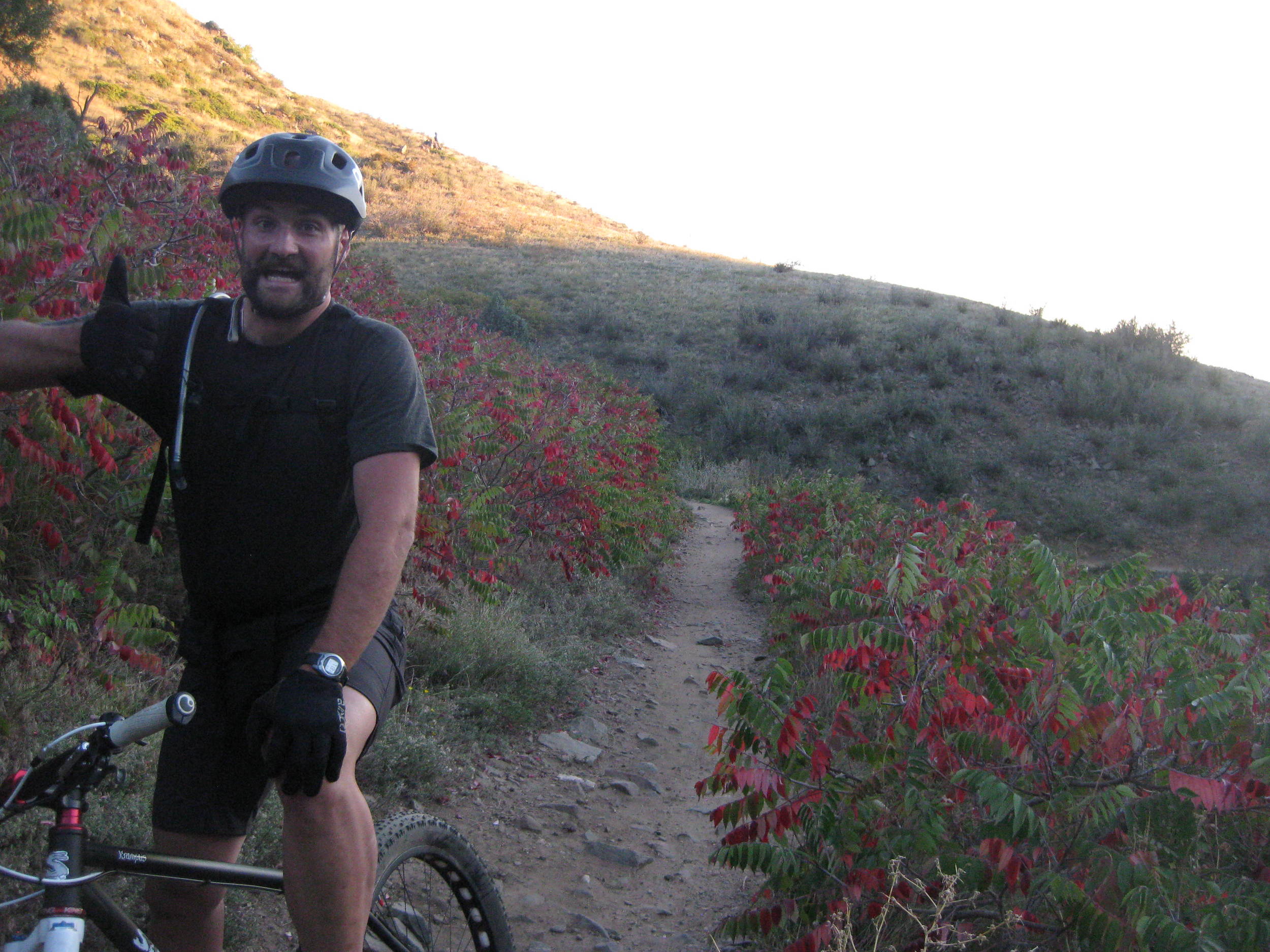 Something in 2014 went right.