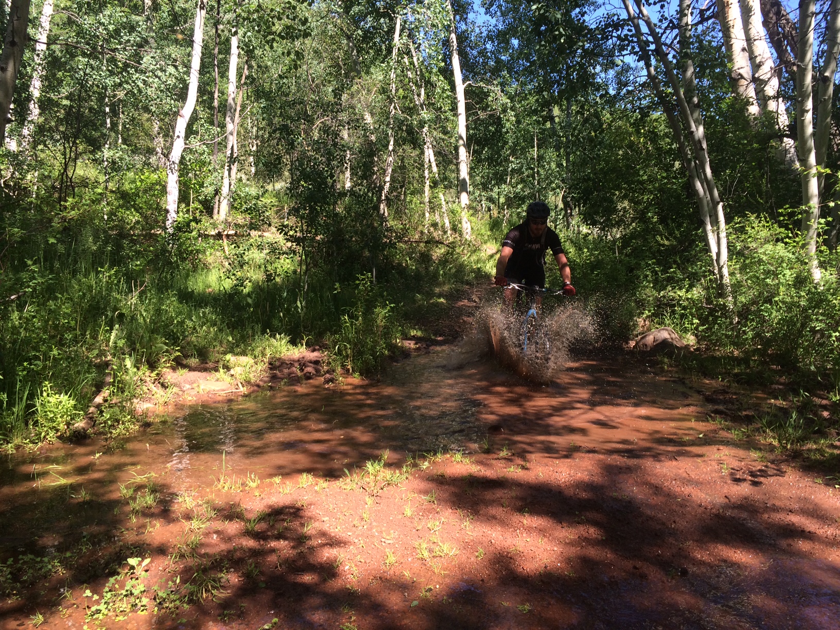 Actually, Jim survived. He is fine.