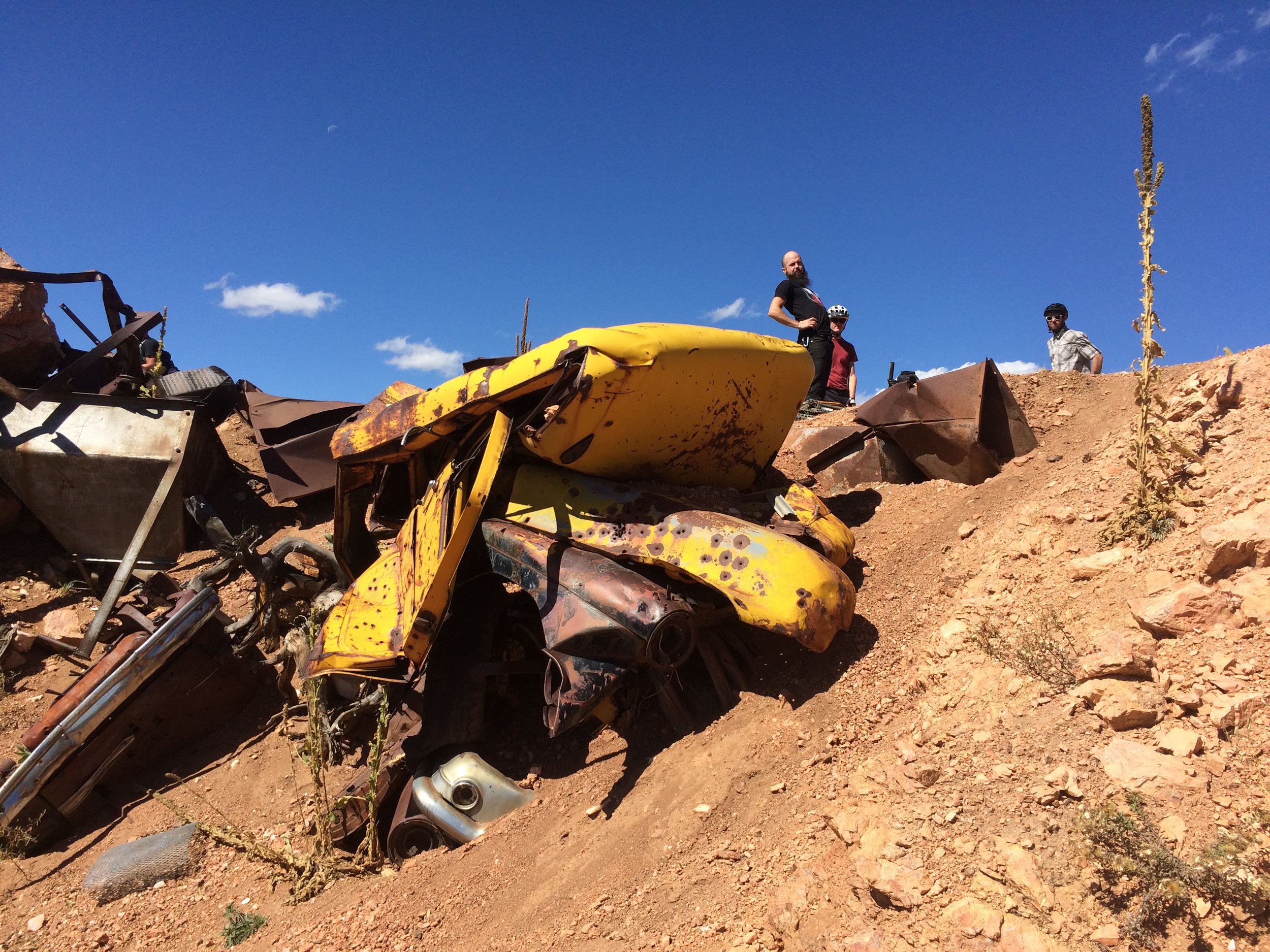 Karate Monkey yellow.