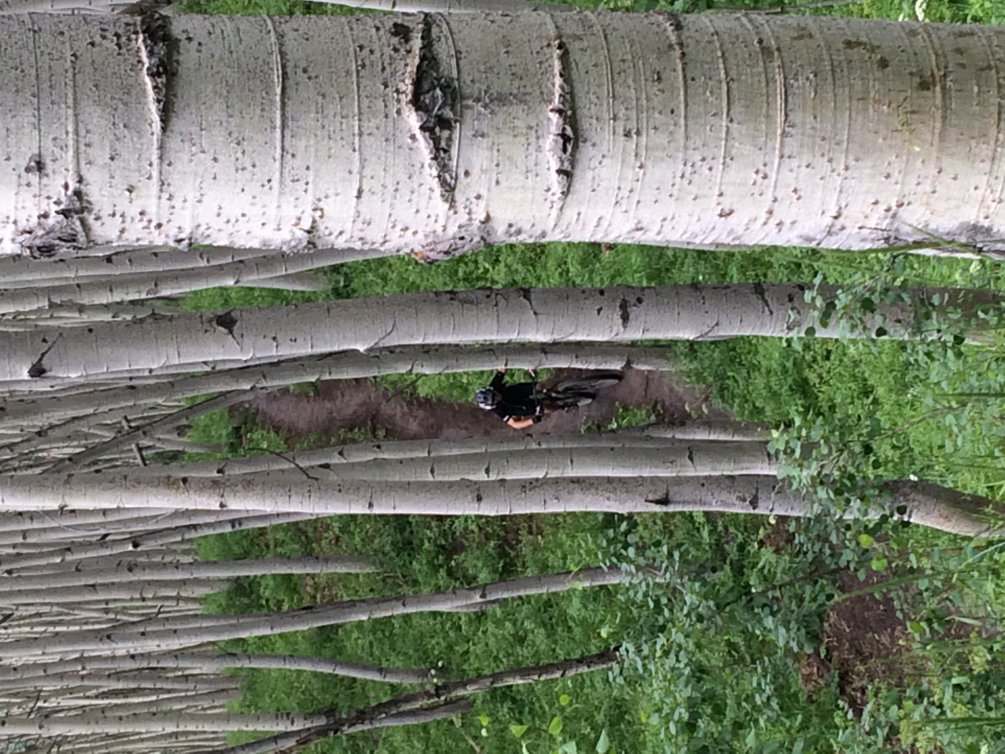 Photo: Jon Mikkelson