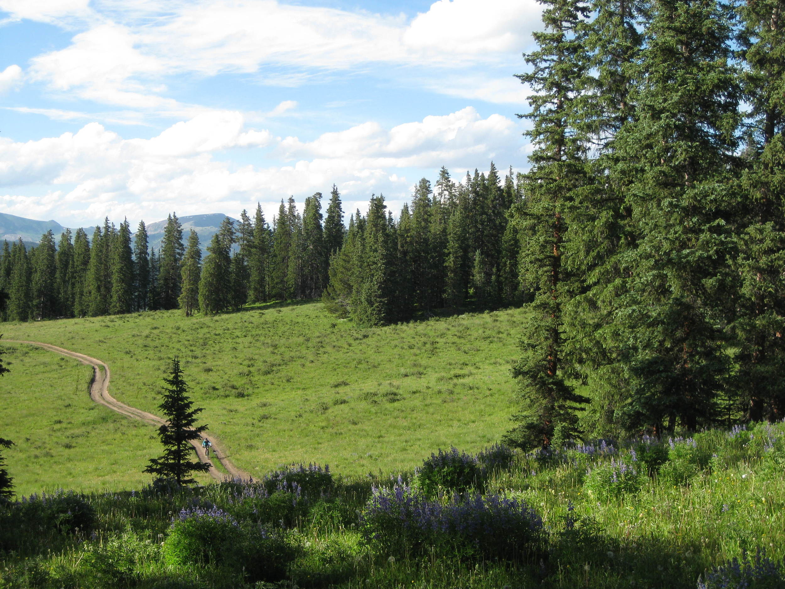 The end of suffering: the top of Doctor Park.