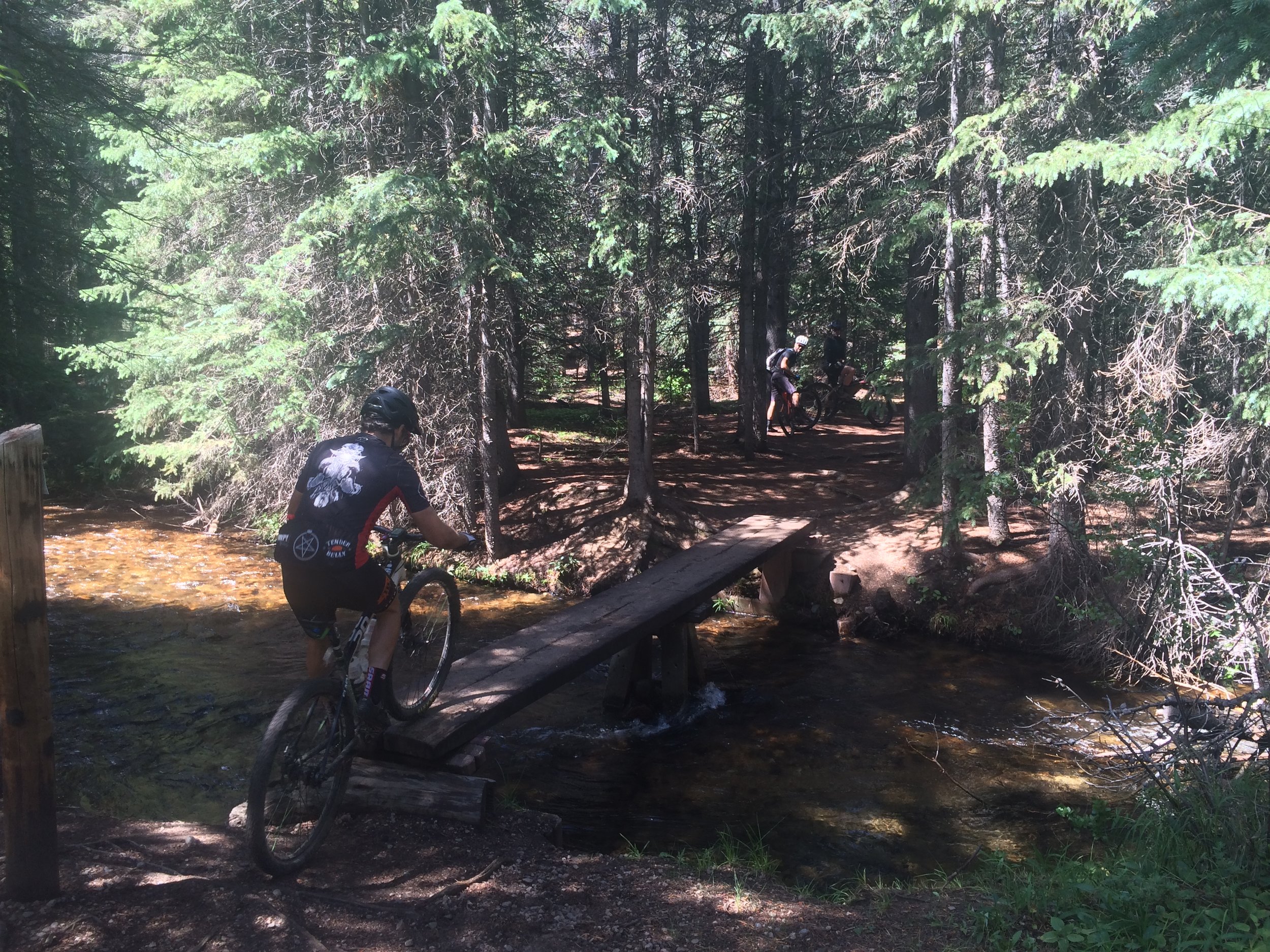 Braver than the rest of us.