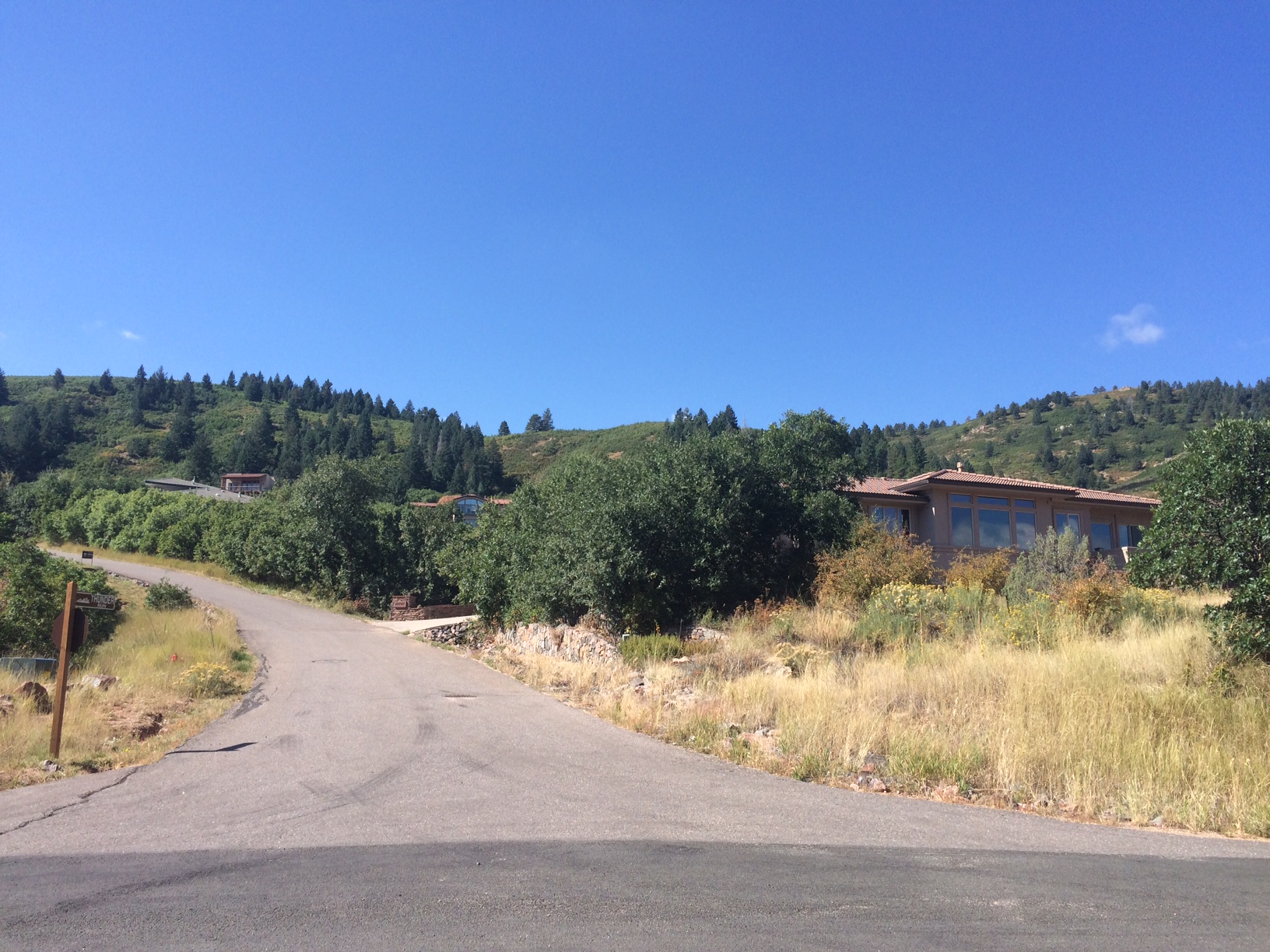 Somewhere in this neighborhood lives a Cairn Terrier who chased us for the equivalent of 40 dog miles, and he is still exhausted to this very day.