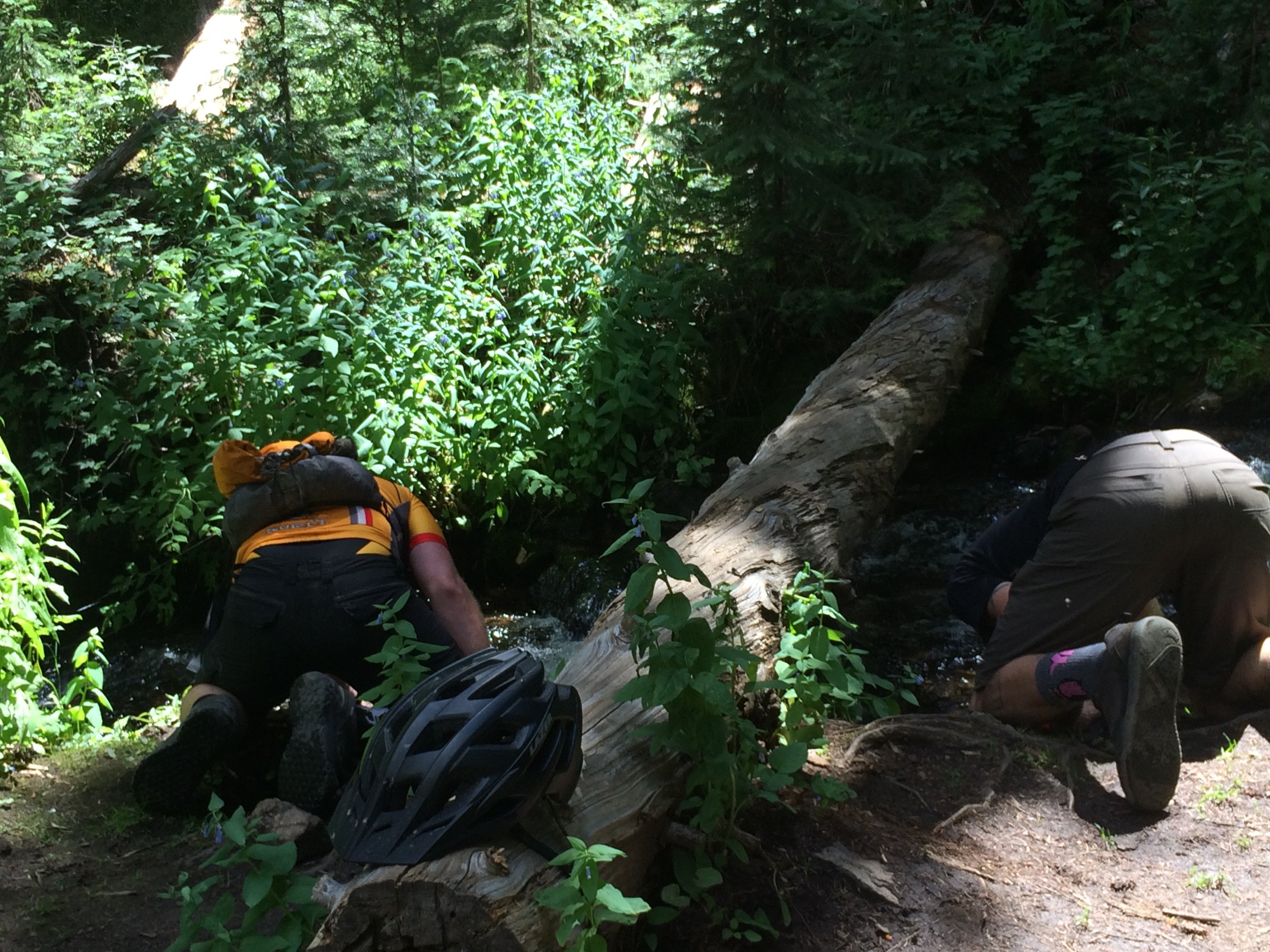 A good place to dunk your head in the river.