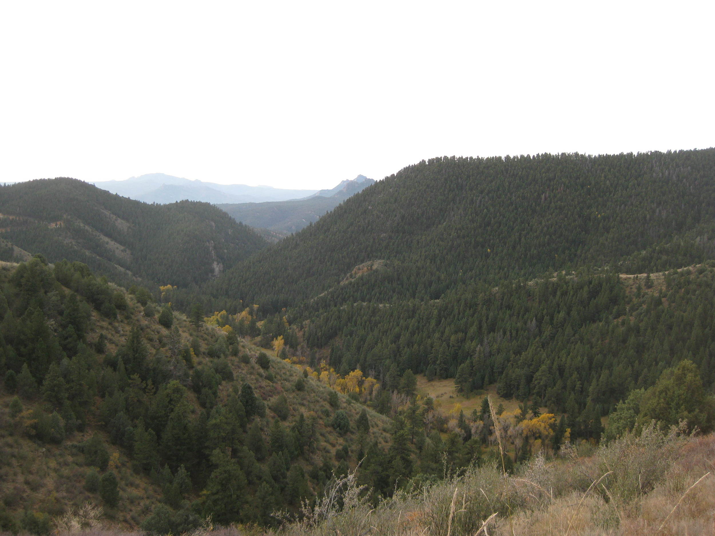 You start on the valley floor. After about 1/2 mile, this is where you stop to barf.