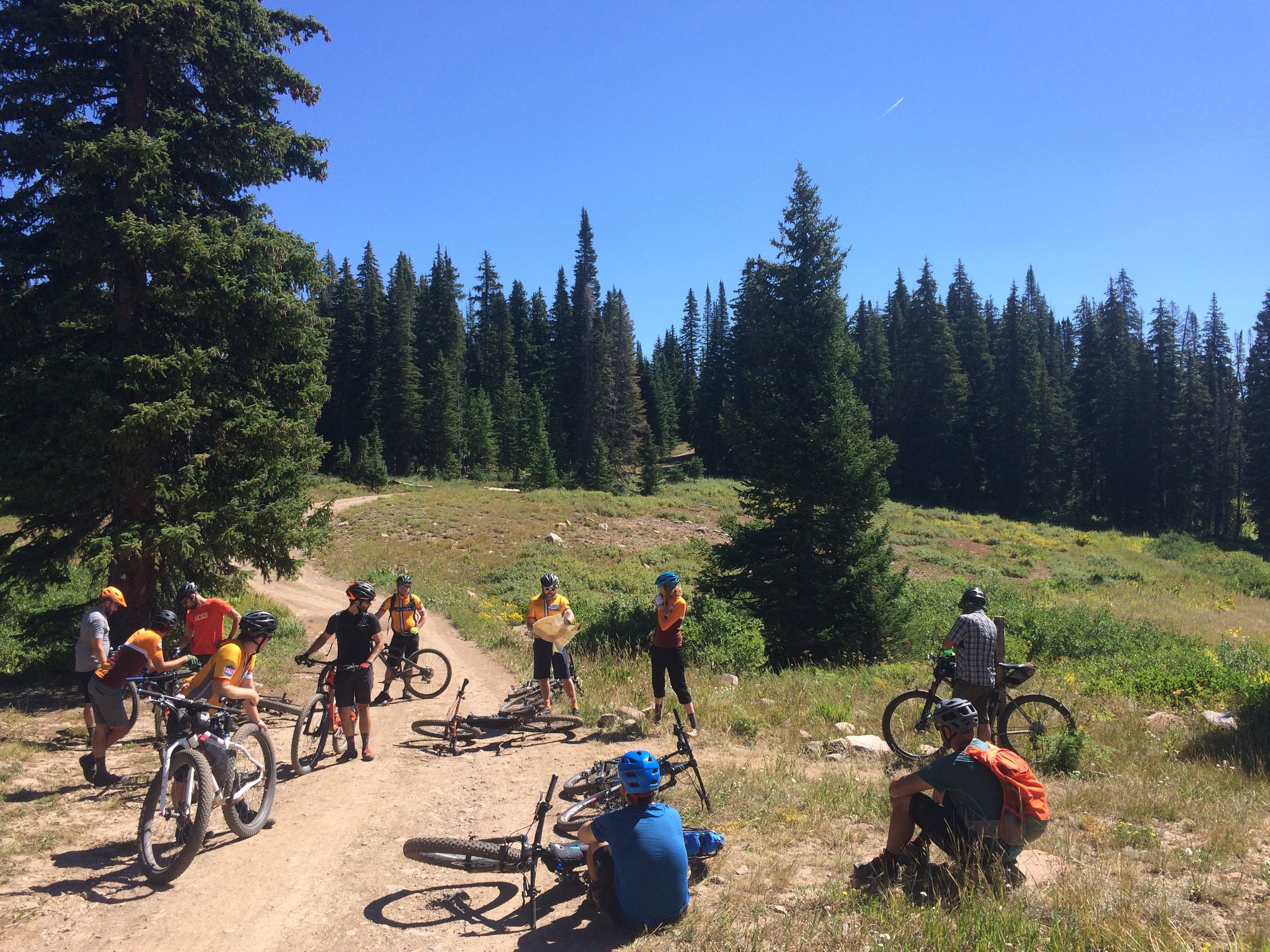 Just when we thought no one had brought anything to make litter with, Darin saved the day.