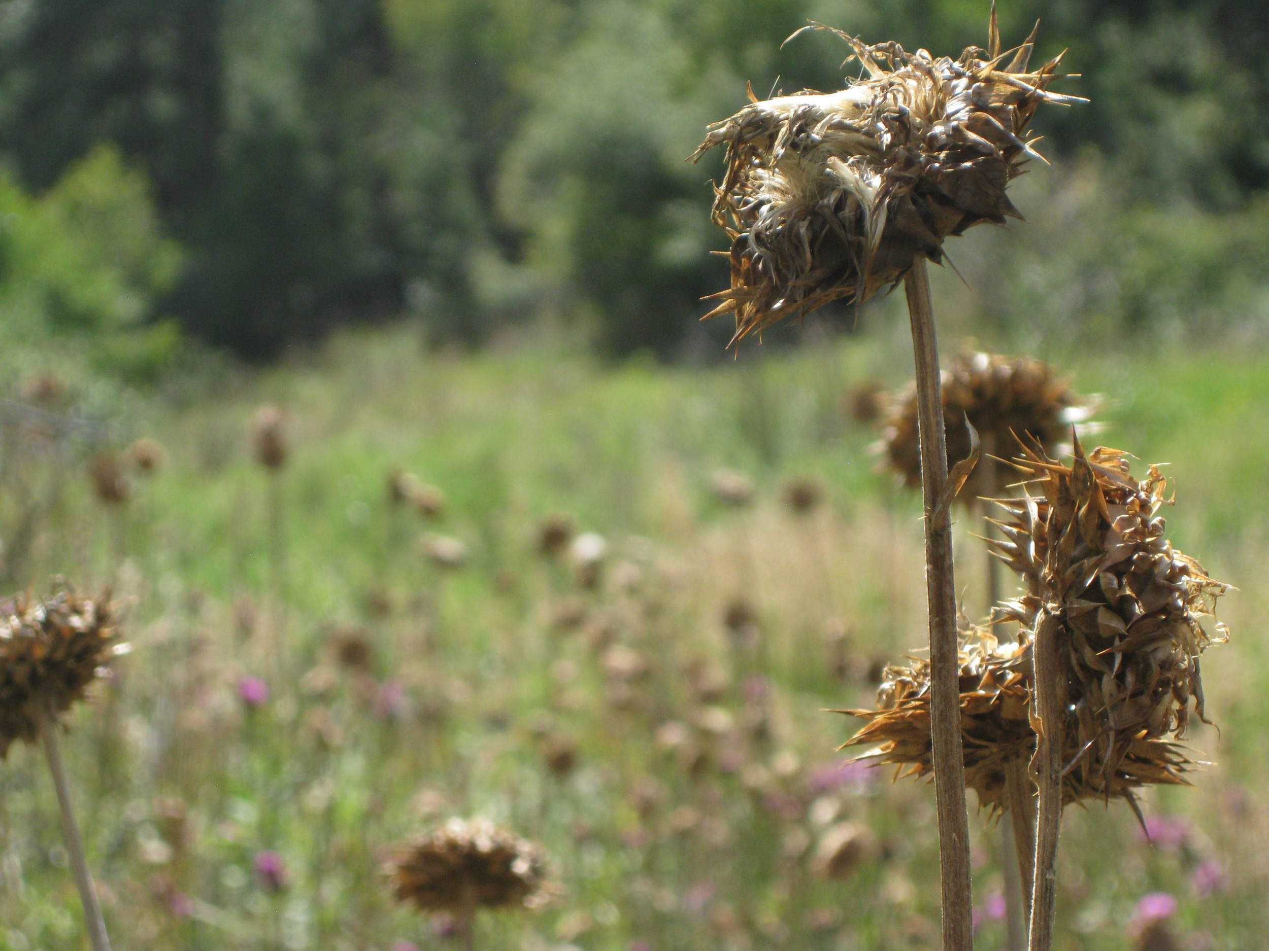 The Best Time for Riding Bikes