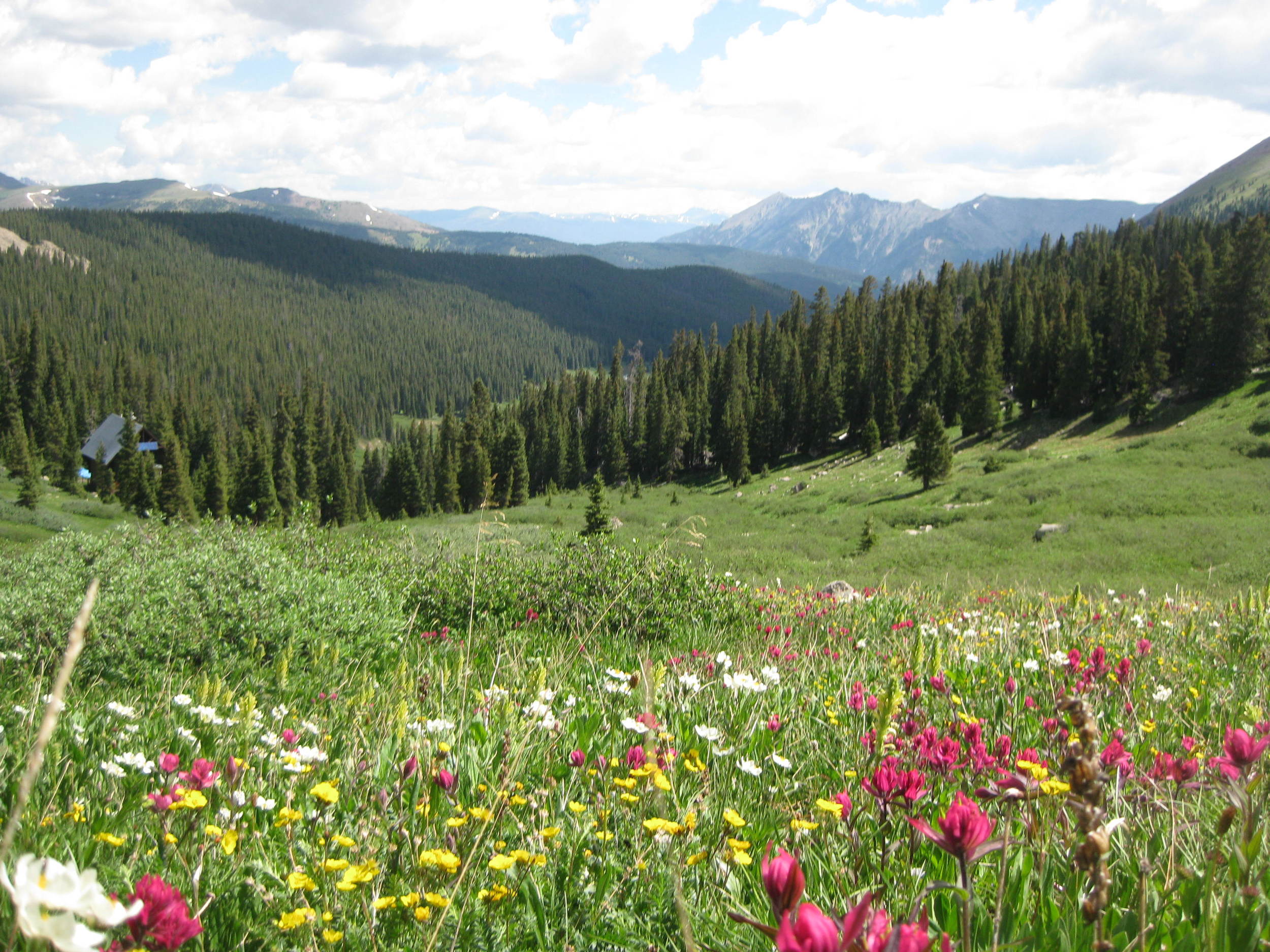 There is literally not even one direction in which to look that is not eye-rendingly ugly.