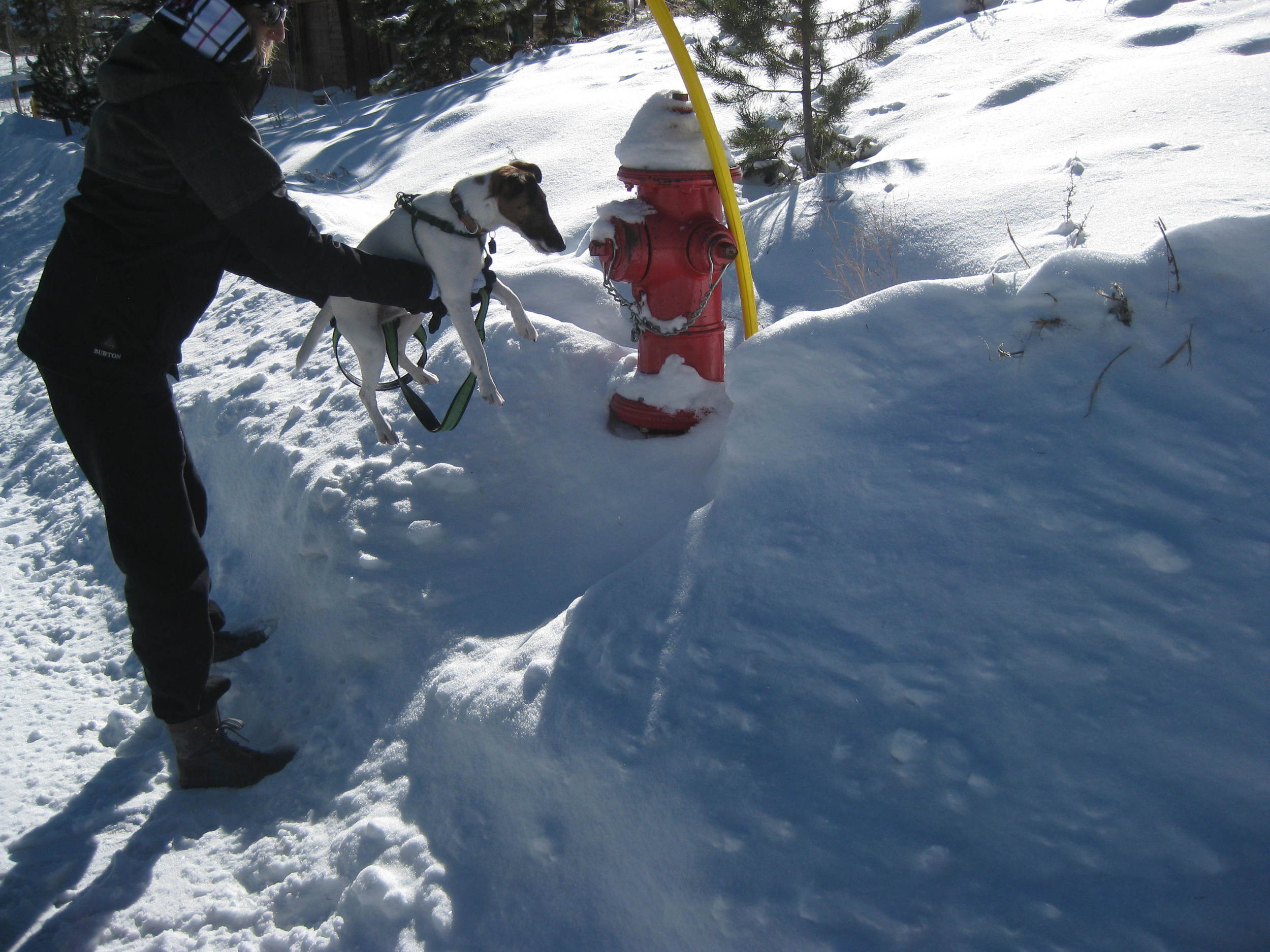 LIFE ISN'T PERFECT. But it's still pretty good.