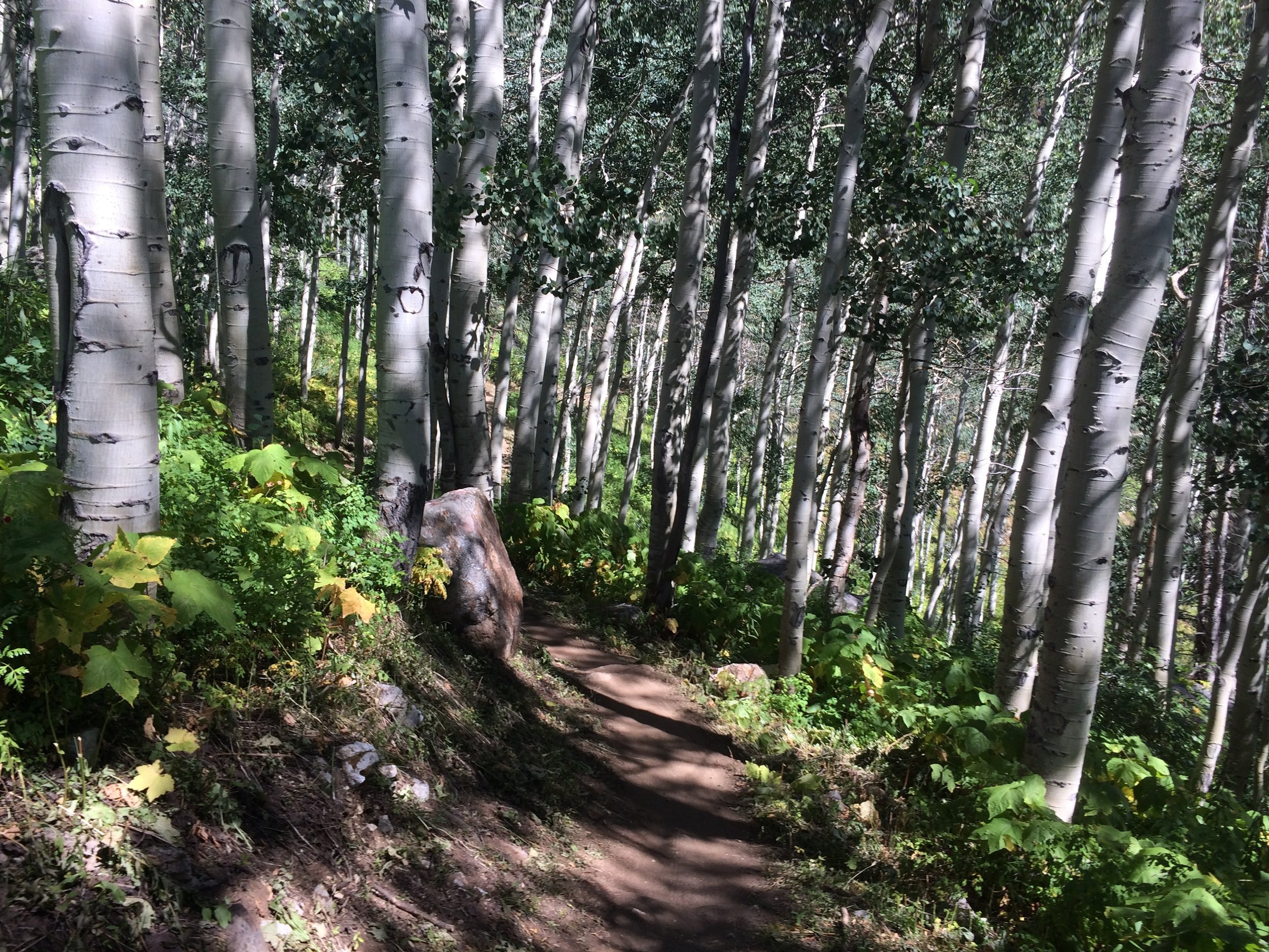 Also not Rustler's Ridge.