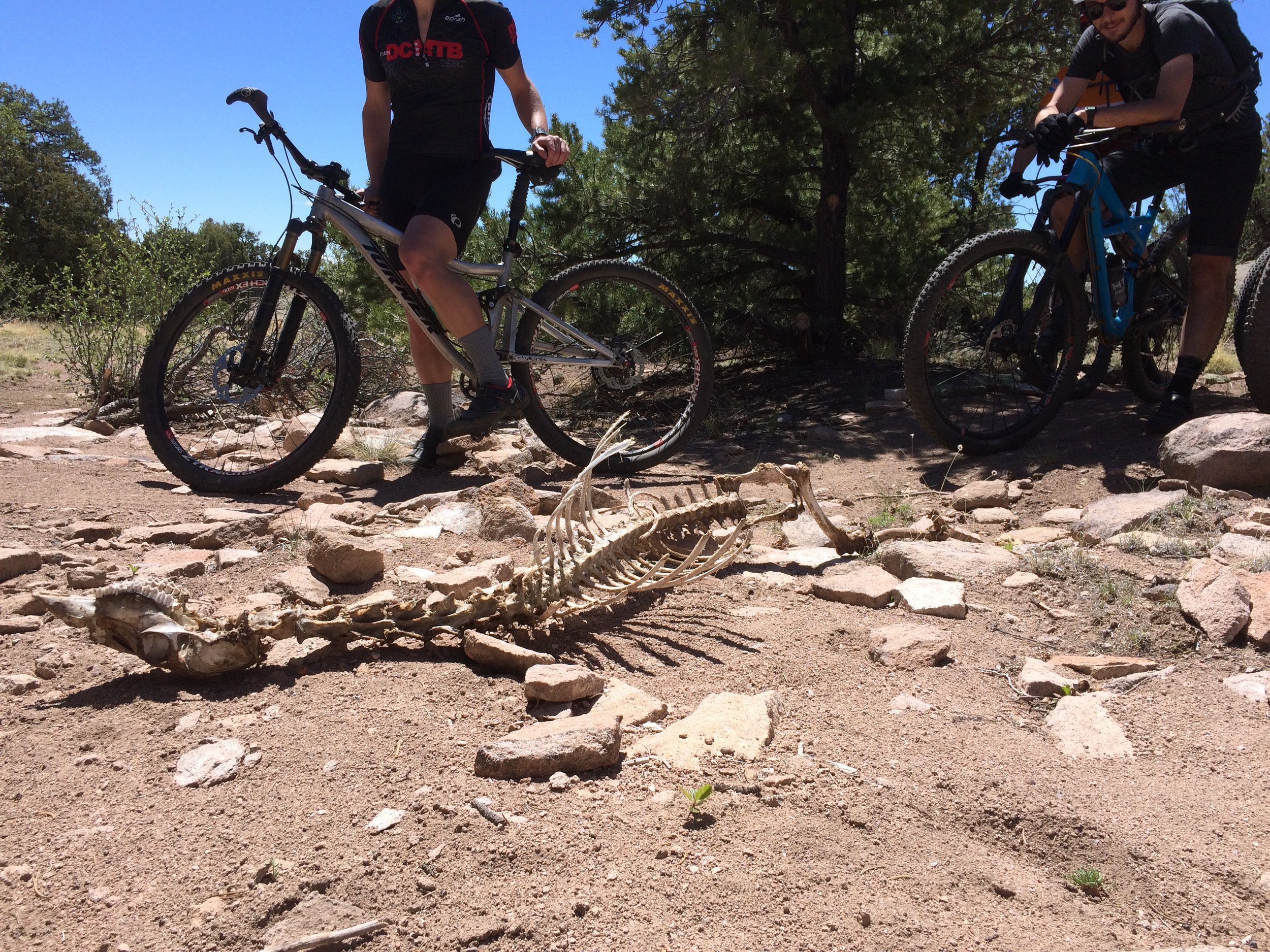 Had it been lost? Had it been bitten?