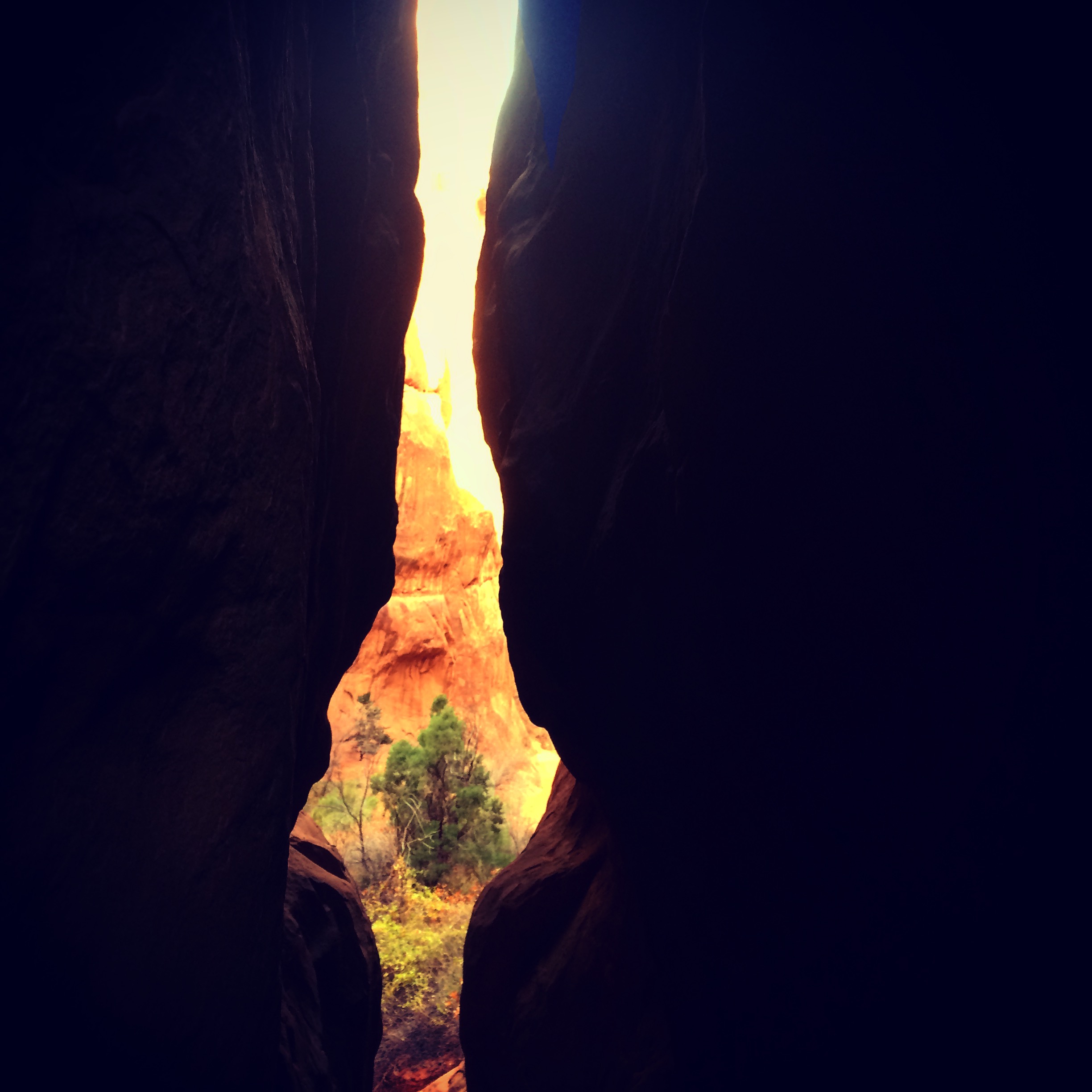 Cycling Goals are Trivial; Try Setting One Anyway