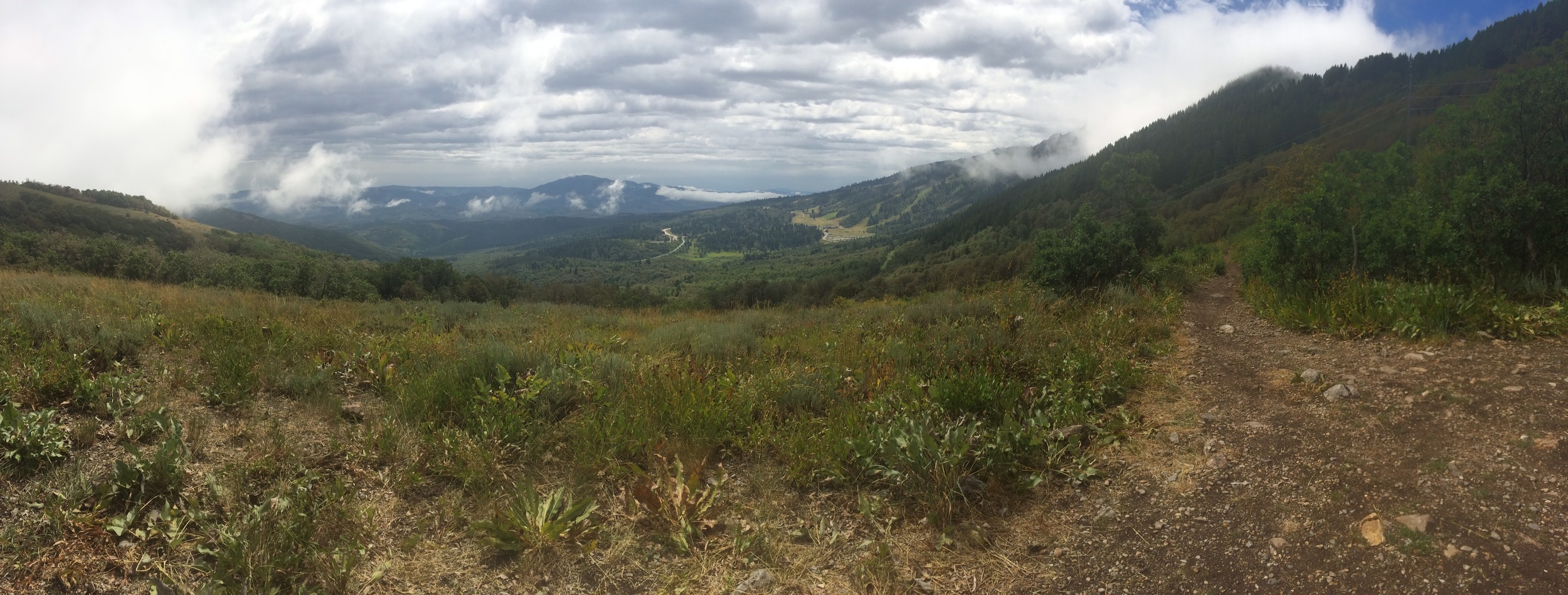 Saddledrive, Surly Bikes, Snowbasin, and Singlespeeds