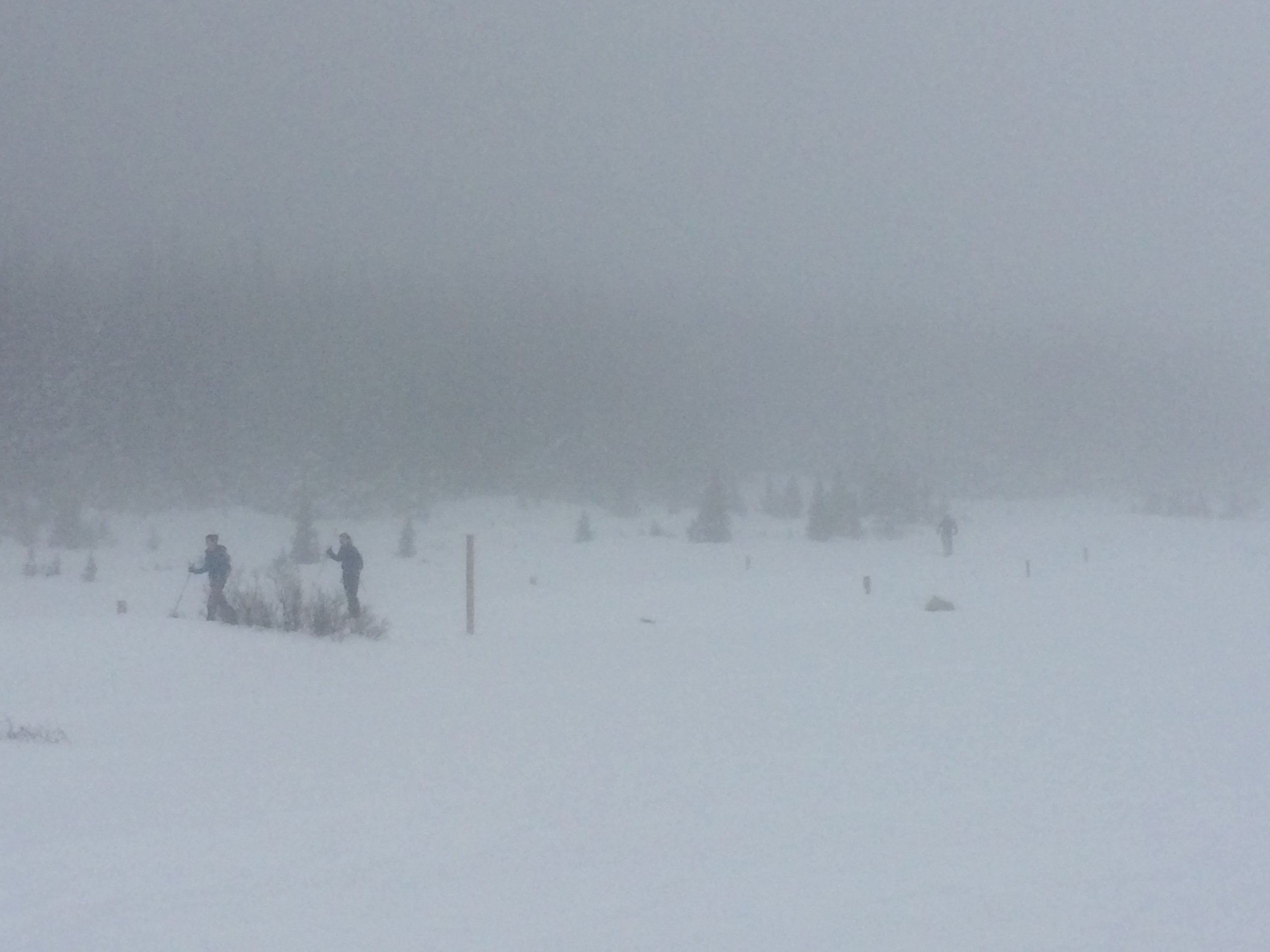 Cornelius finds more silver than gold.